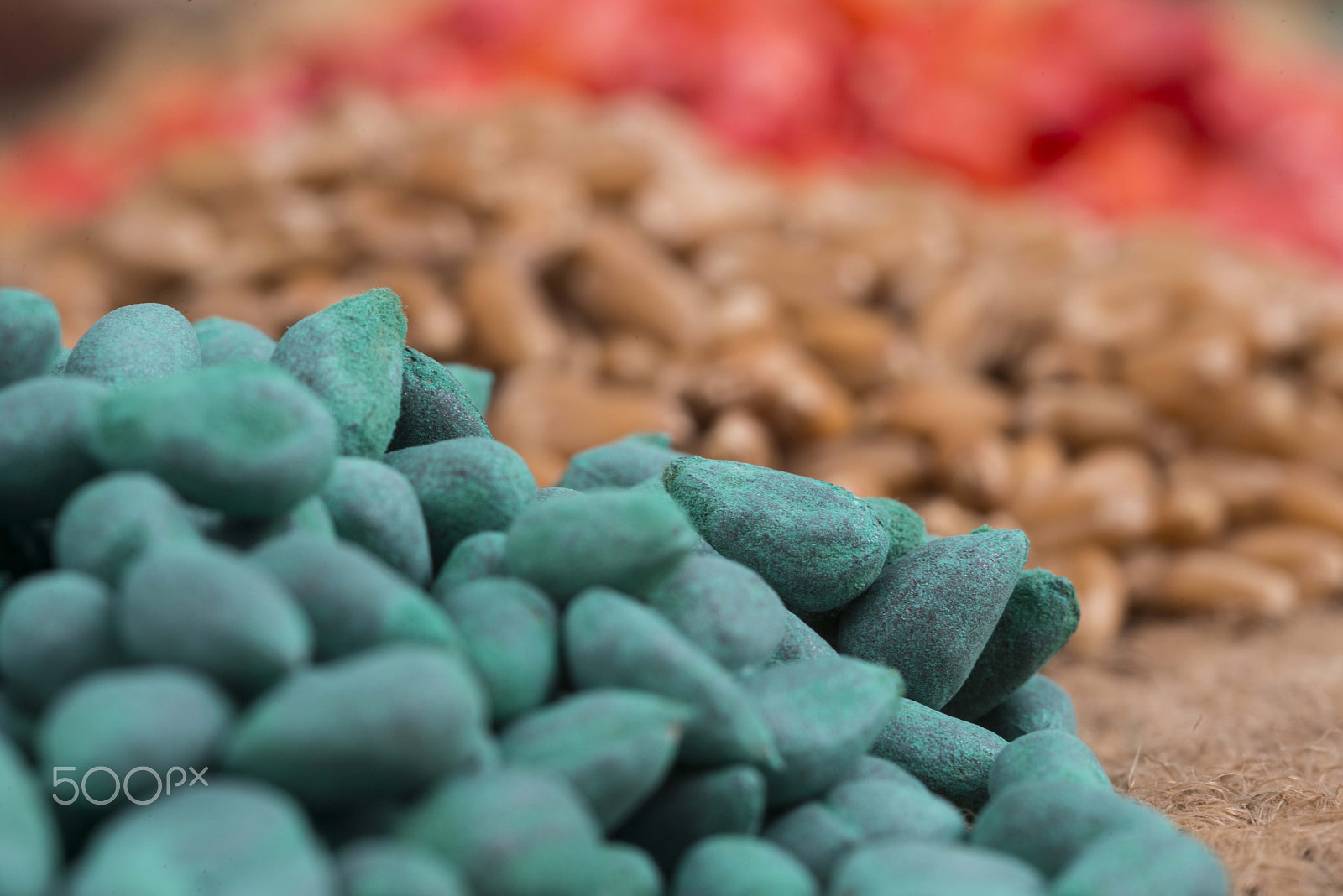 Nikon D800 + Sigma 105mm F2.8 EX DG Macro sample photo. Colorful seed photography