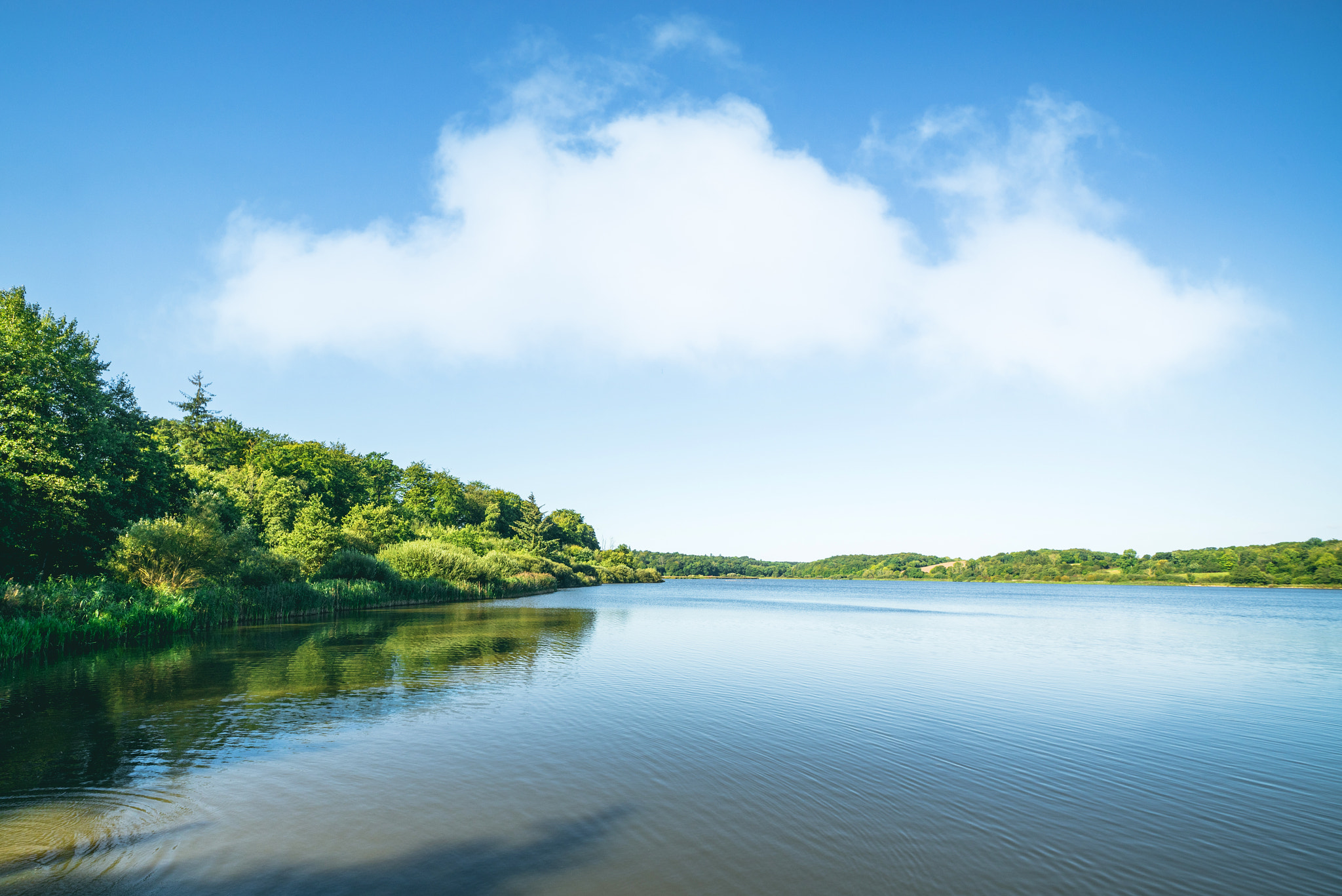 Sony a7R + Sony Vario-Sonnar T* 16-35mm F2.8 ZA SSM sample photo. Lake scenery with green trees photography