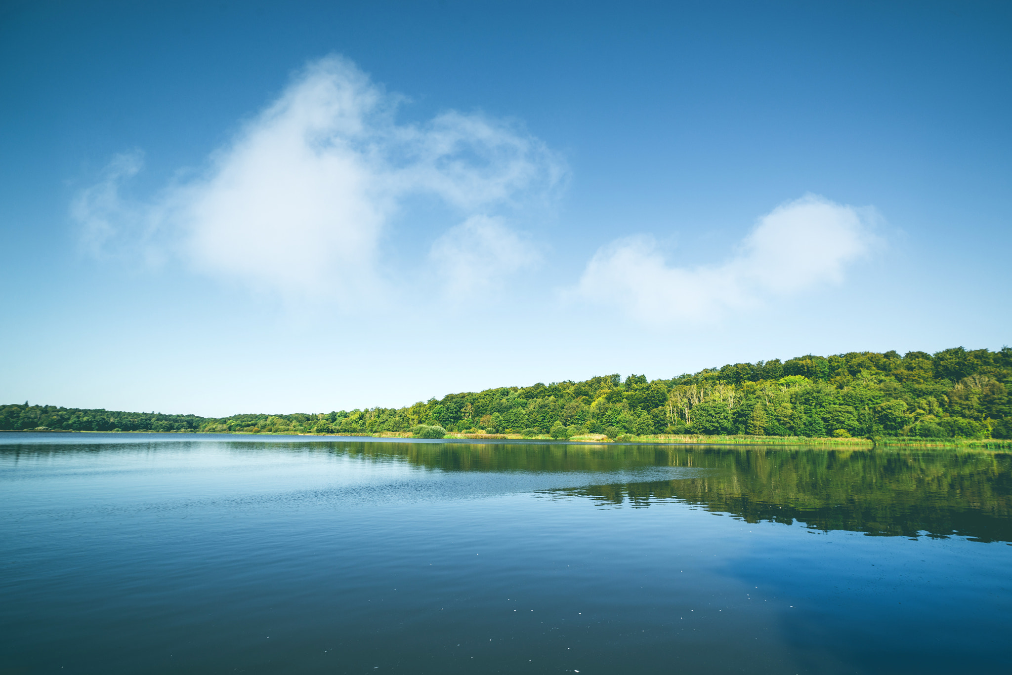 Sony a7R + Sony Vario-Sonnar T* 16-35mm F2.8 ZA SSM sample photo. Lake with reflection of green trees photography