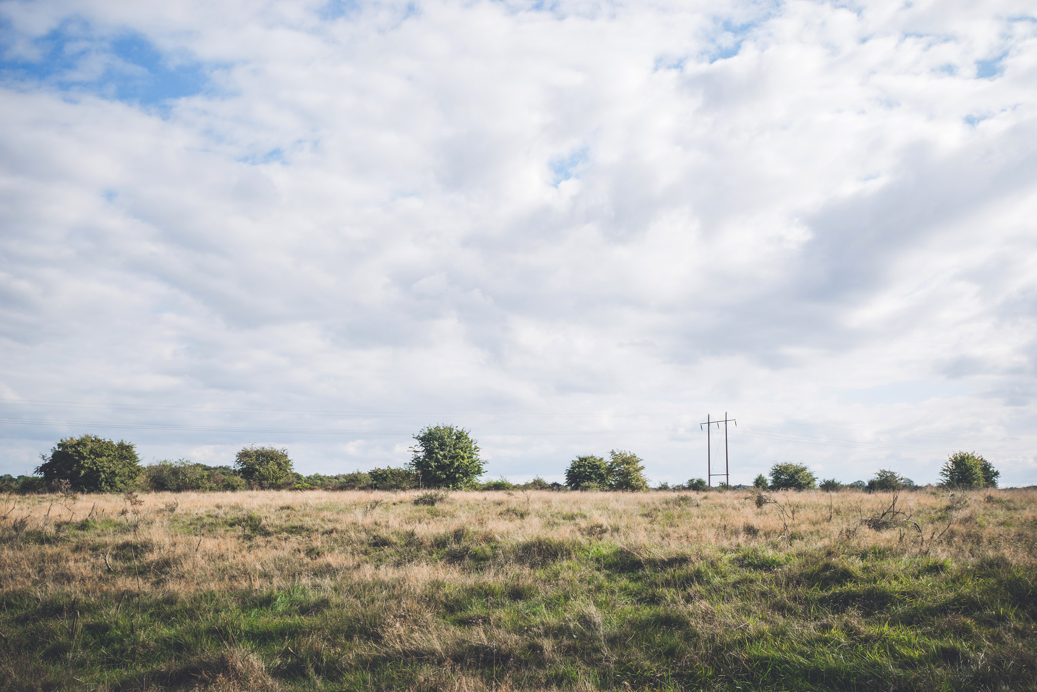 Sony a7R + Sony Vario-Sonnar T* 16-35mm F2.8 ZA SSM sample photo. Prairie scenery with bush and trees photography