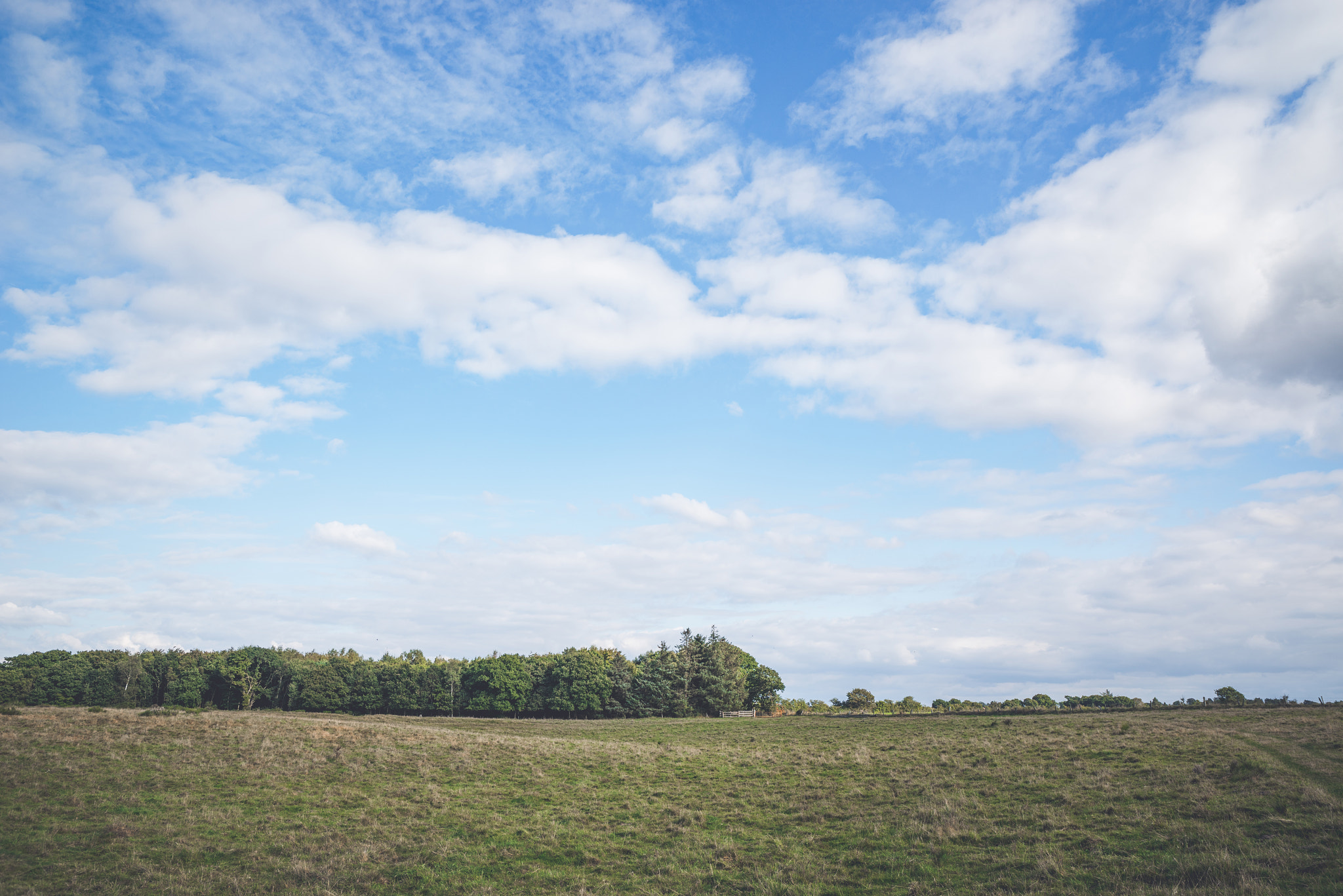 Sony a7R + Sony Vario-Sonnar T* 16-35mm F2.8 ZA SSM sample photo. Blue sky over a prairie landscape photography