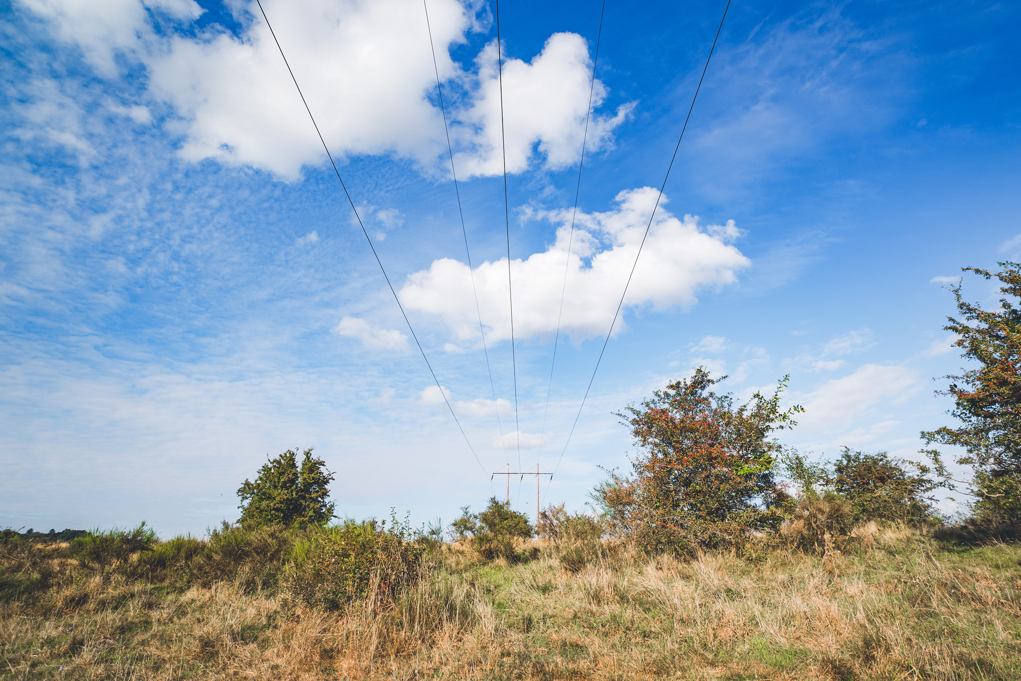 Sony a7R + Sony Vario-Sonnar T* 16-35mm F2.8 ZA SSM sample photo. Electrical wires on a pylon photography