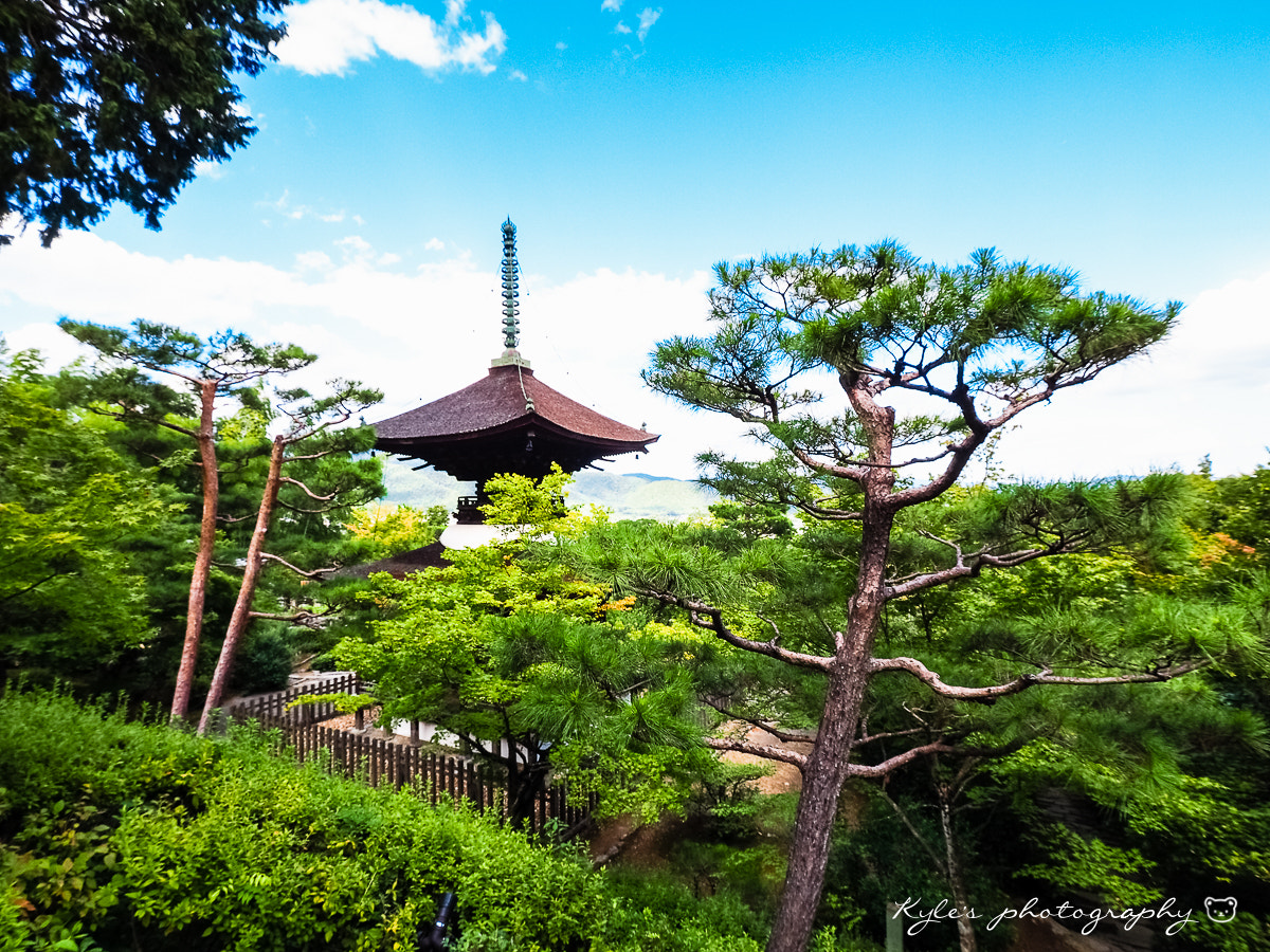 Olympus Zuiko Digital ED 9-18mm F4.0-5.6 sample photo. 常寂光寺 多寶塔 photography