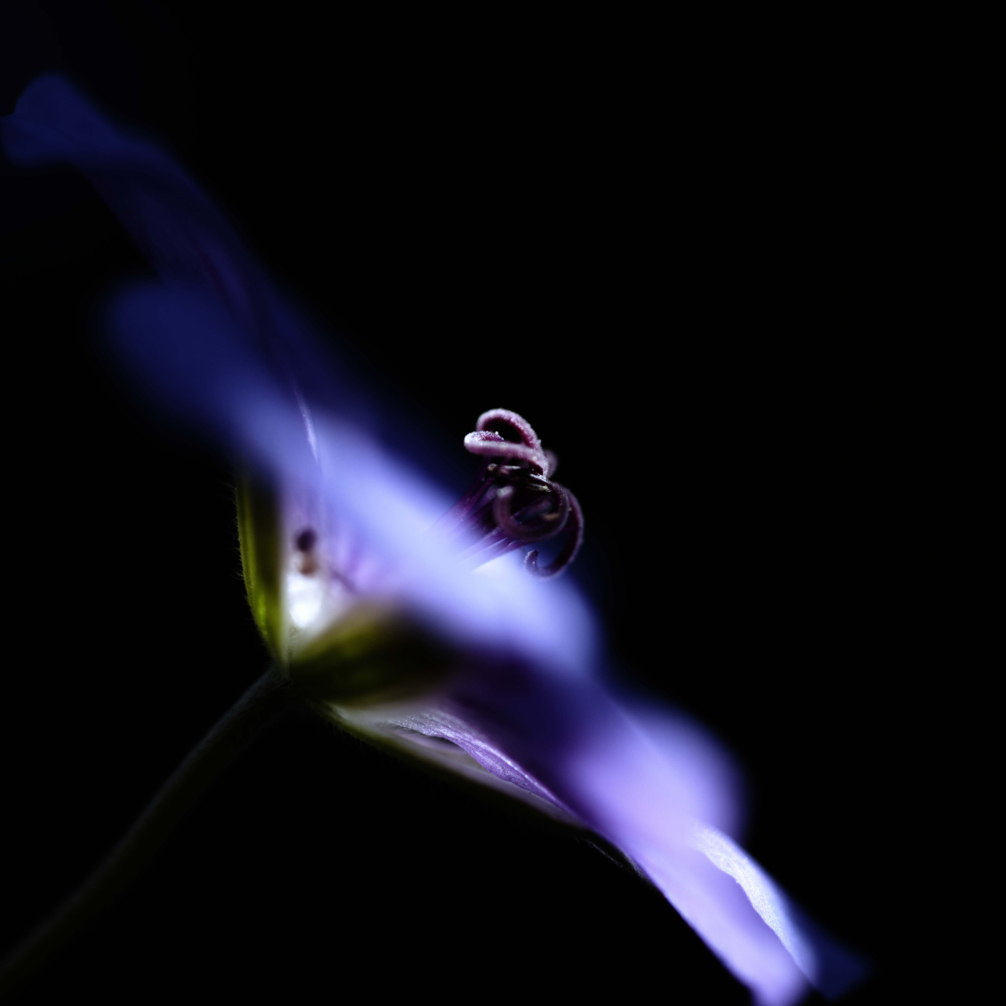 Nikon D3 sample photo