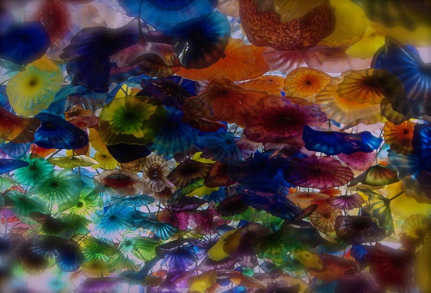 Sony DSC-M2 sample photo. Glass jellyfish photography