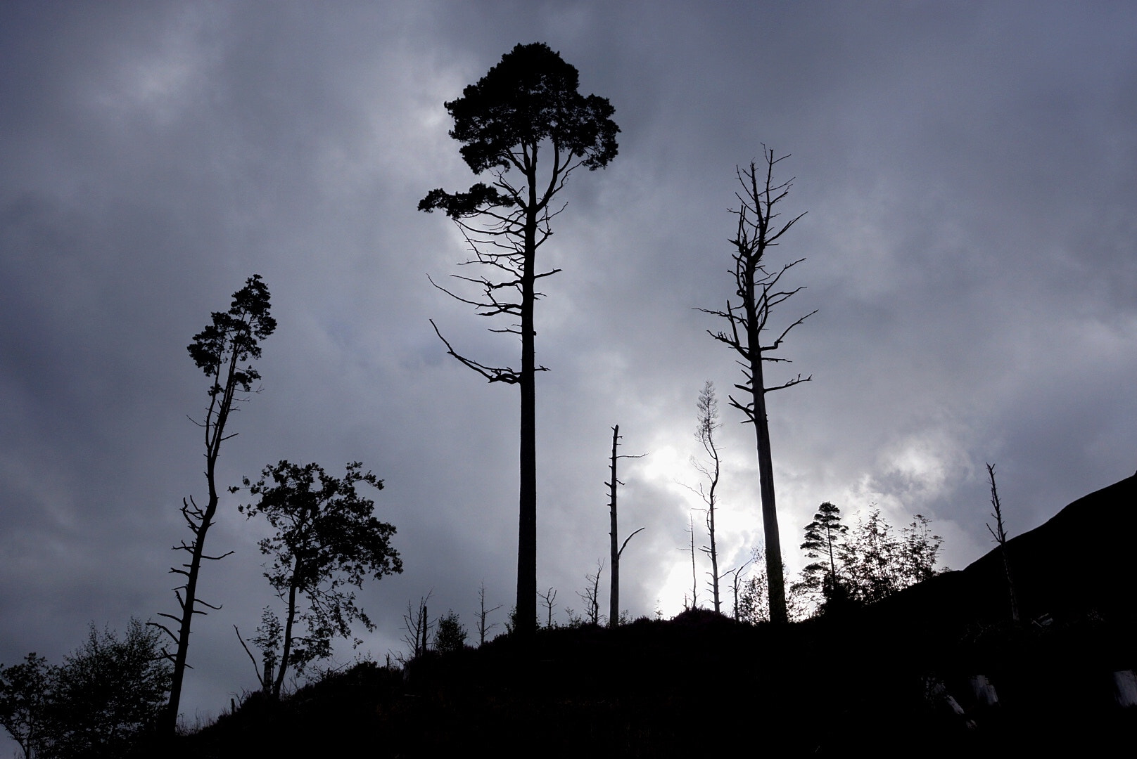 Sony Alpha NEX-7 + Sony Sonnar T* E 24mm F1.8 ZA sample photo. Hilltop silhouette photography