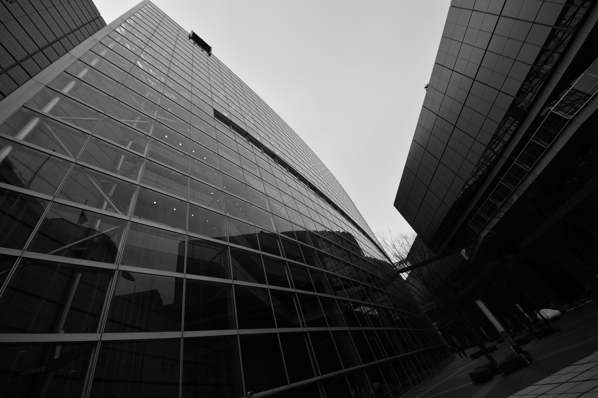 Sigma 8-16mm F4.5-5.6 DC HSM sample photo. Monochrome 4 (tokyo) photography