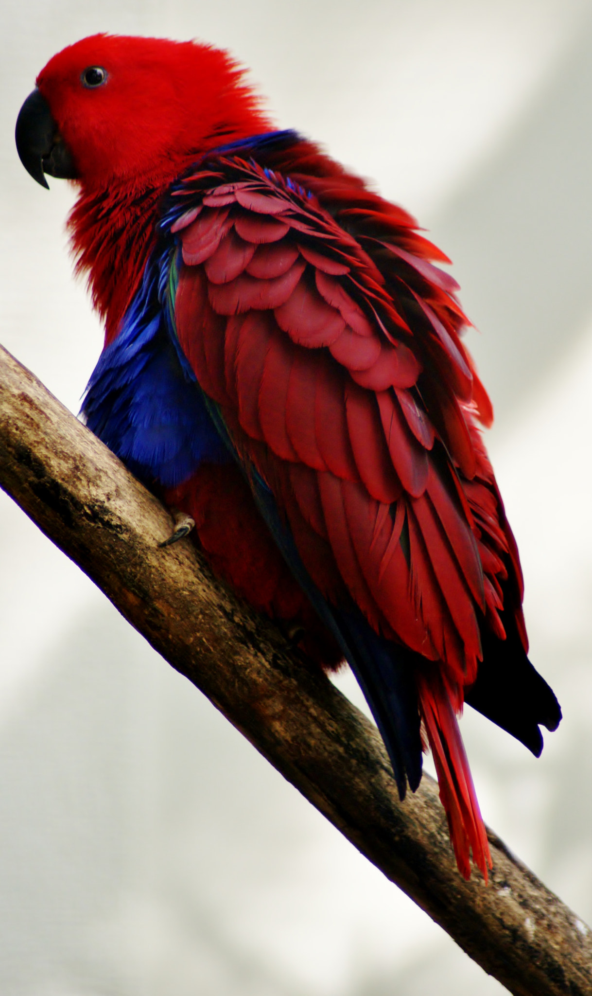 Sony Alpha DSLR-A200 sample photo. Sony dsc photography