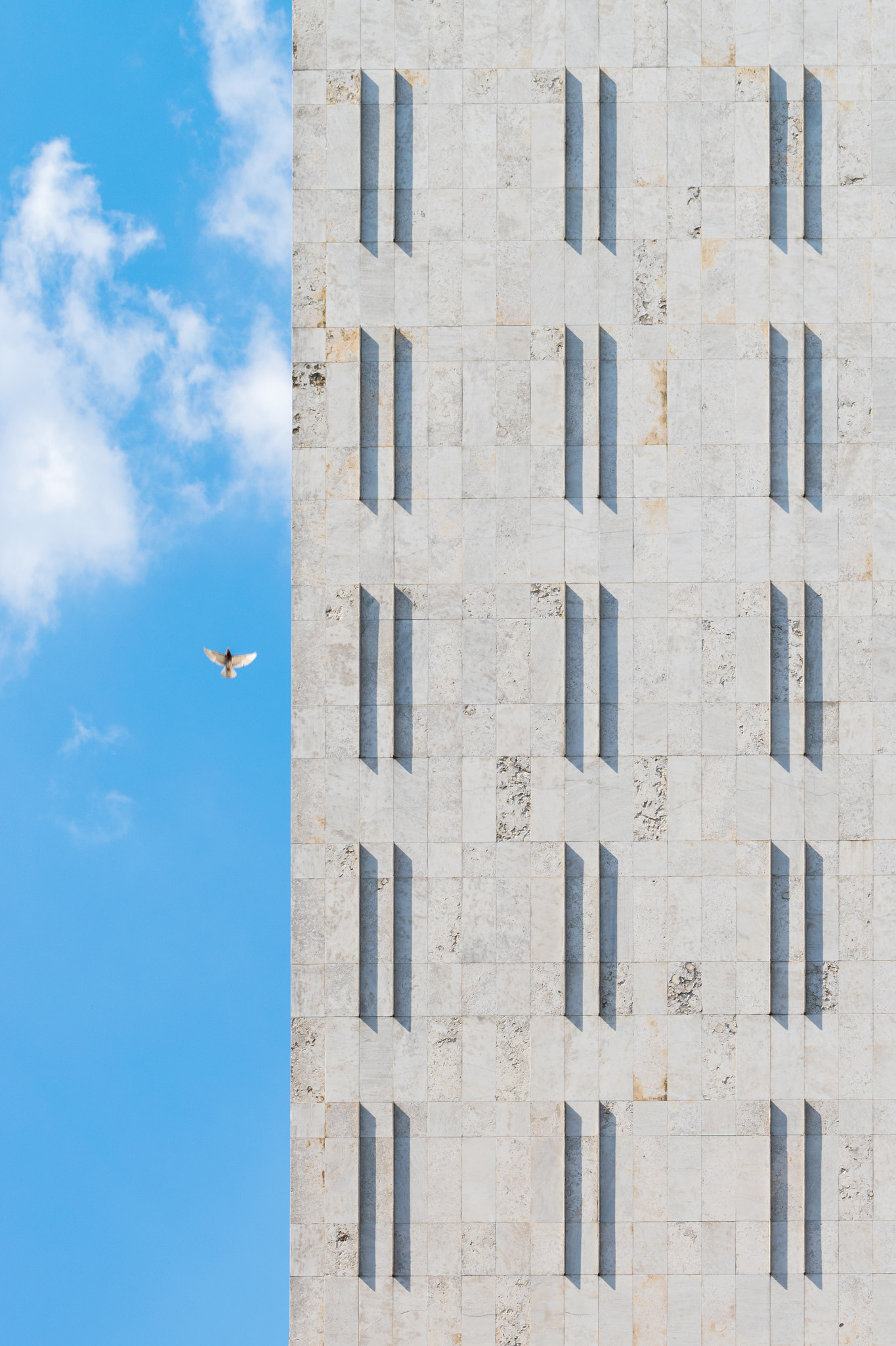 Nikon AF-S Nikkor 70-200mm F2.8G ED VR II sample photo. The flight photography