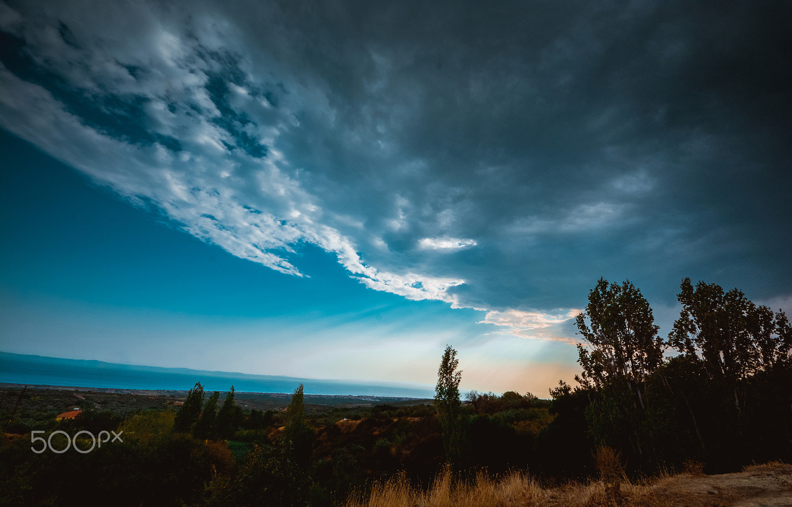Sigma 8-16mm F4.5-5.6 DC HSM sample photo. "prophecies" photography