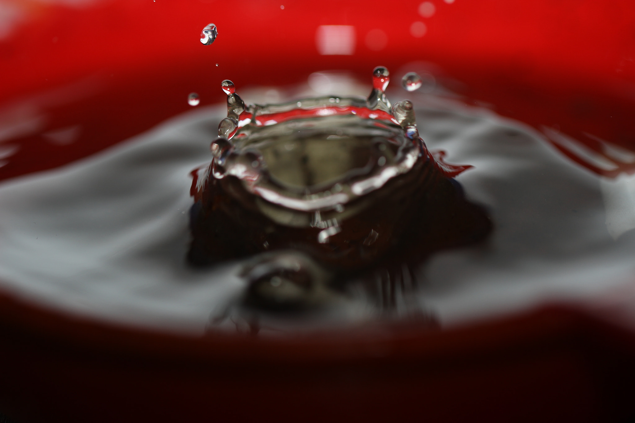 Canon EOS 600D (Rebel EOS T3i / EOS Kiss X5) + Canon EF 100mm F2.8L Macro IS USM sample photo. Water drop photography