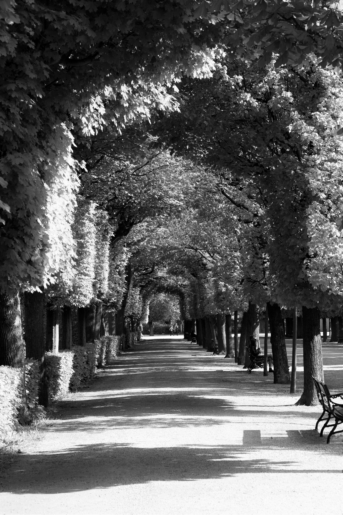 Canon EF 24-70mm F4L IS USM sample photo. Tunnel of sunshine photography