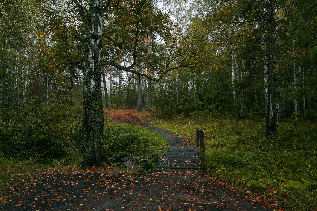 Samyang 14mm F2.8 ED AS IF UMC sample photo. September photography