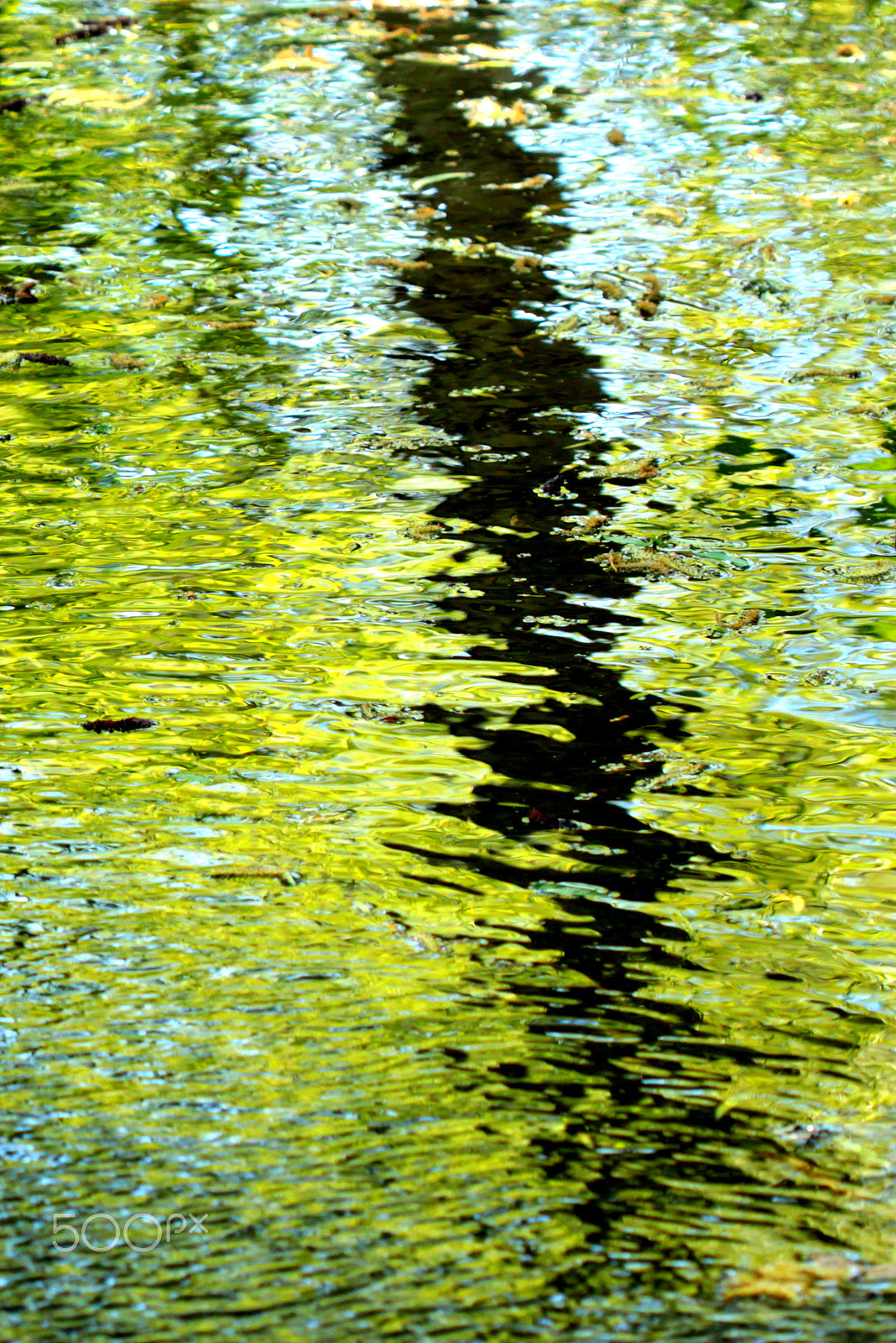 Canon EF 100mm F2.8 Macro USM sample photo. Reflets photography