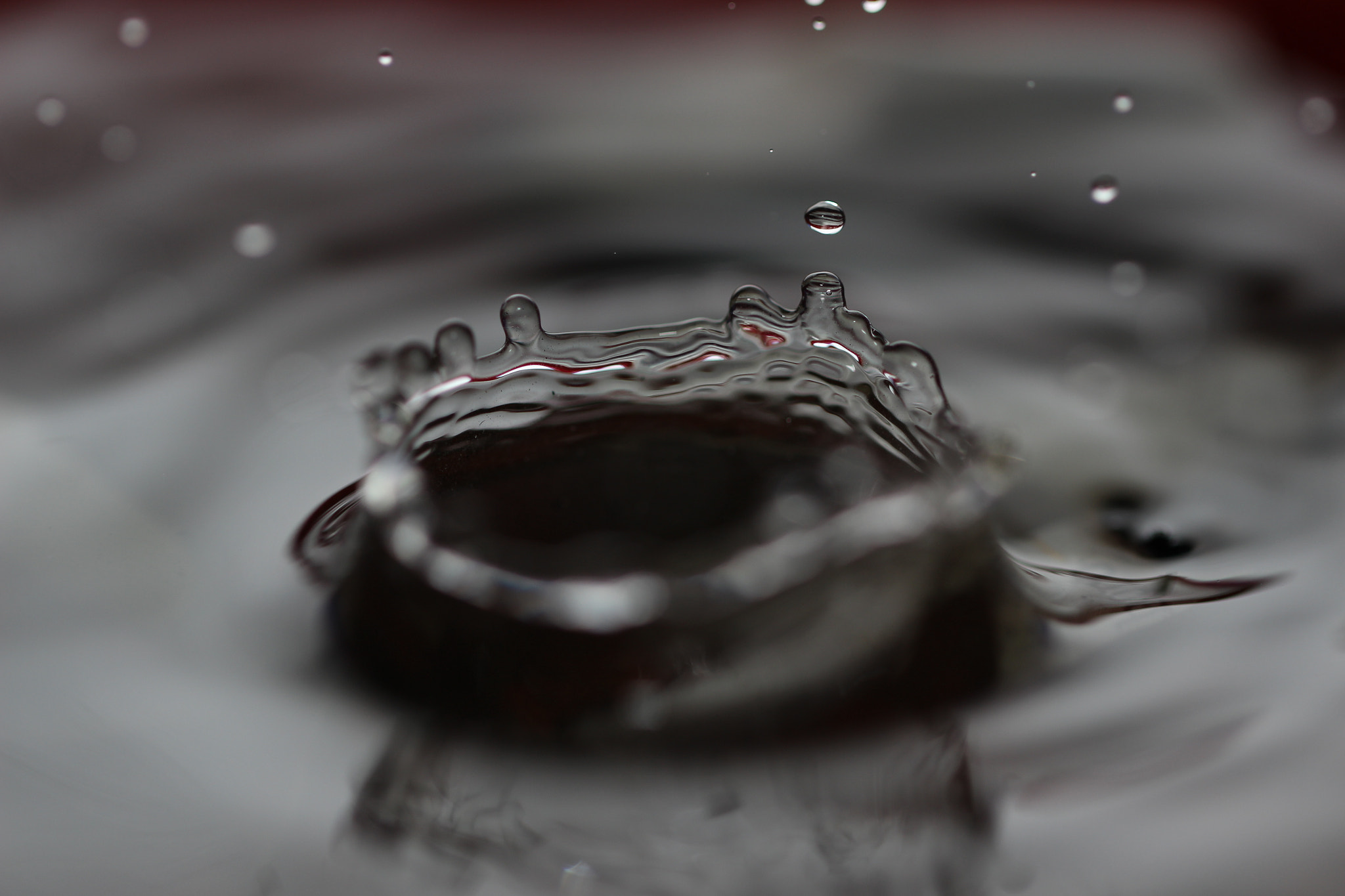 Canon EOS 600D (Rebel EOS T3i / EOS Kiss X5) + Canon EF 100mm F2.8L Macro IS USM sample photo. Water drop photography