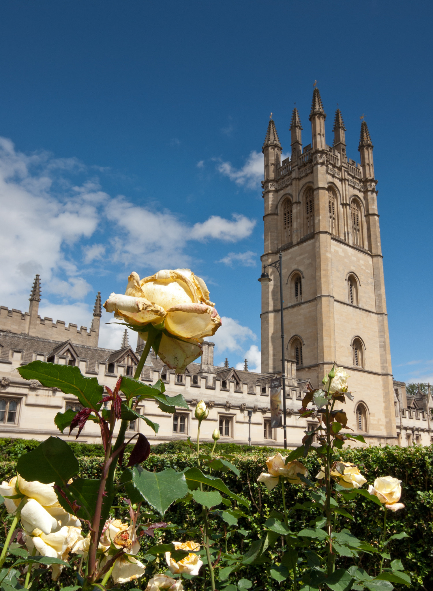 Sigma AF 10-20mm F4-5.6 EX DC sample photo. Oxford photography