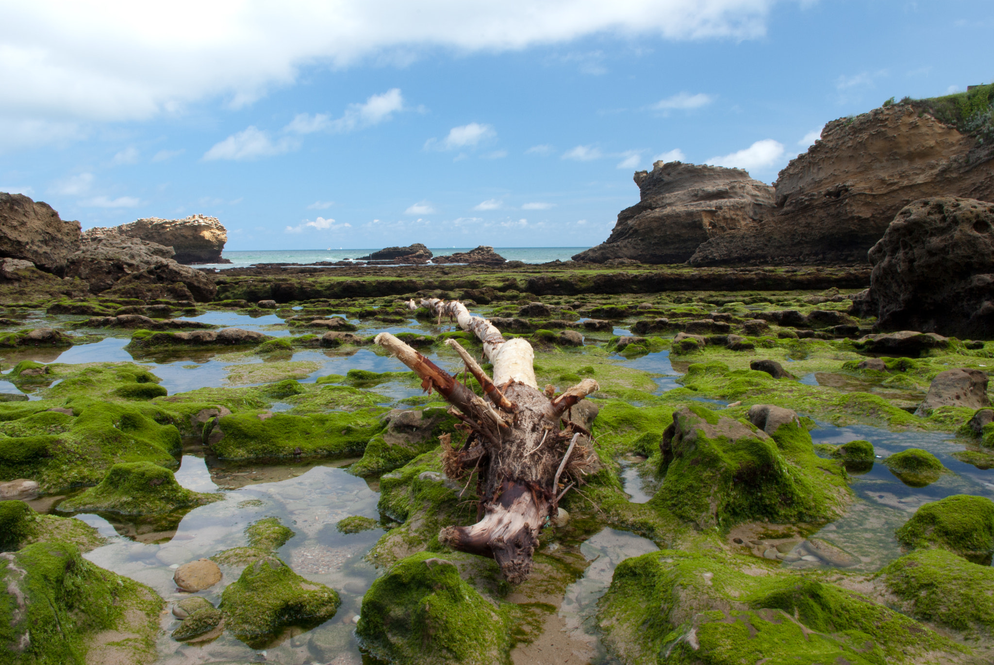 Pentax K10D sample photo. Biarritz photography