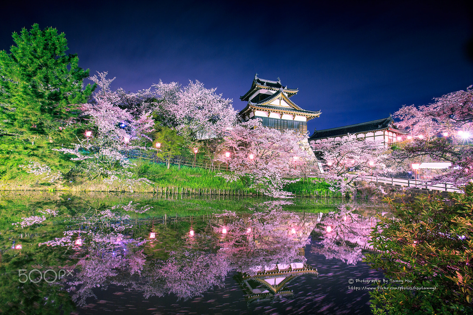 Canon EF 16-35mm F2.8L USM sample photo. Sakura at koriyama castle photography