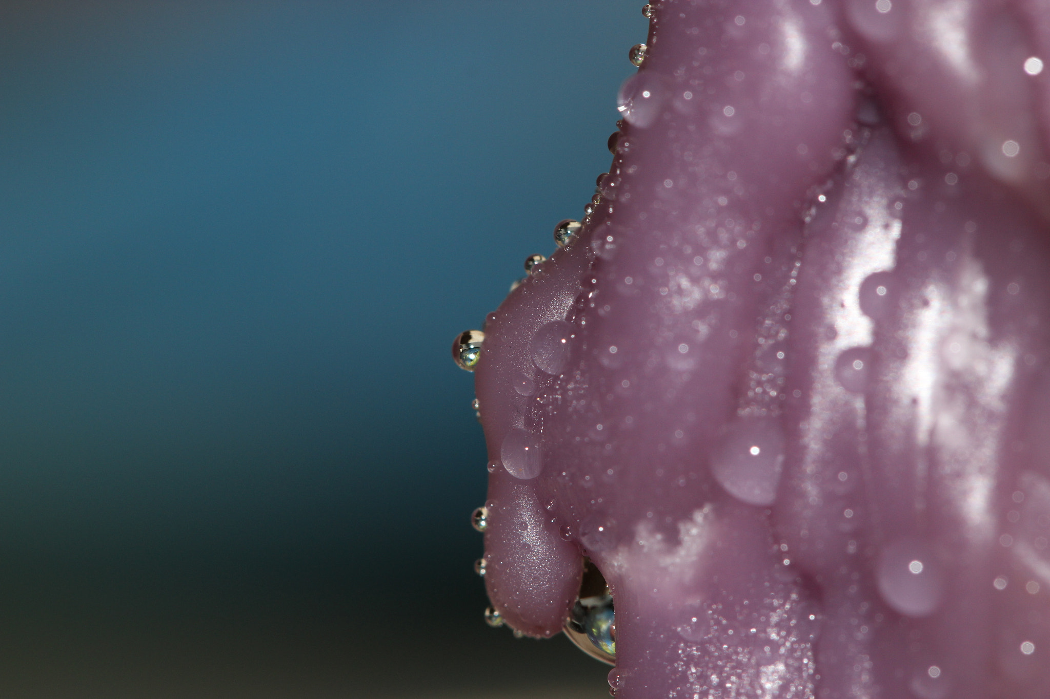 Canon EOS 600D (Rebel EOS T3i / EOS Kiss X5) + Canon EF 100mm F2.8L Macro IS USM sample photo. Water drops on wax photography