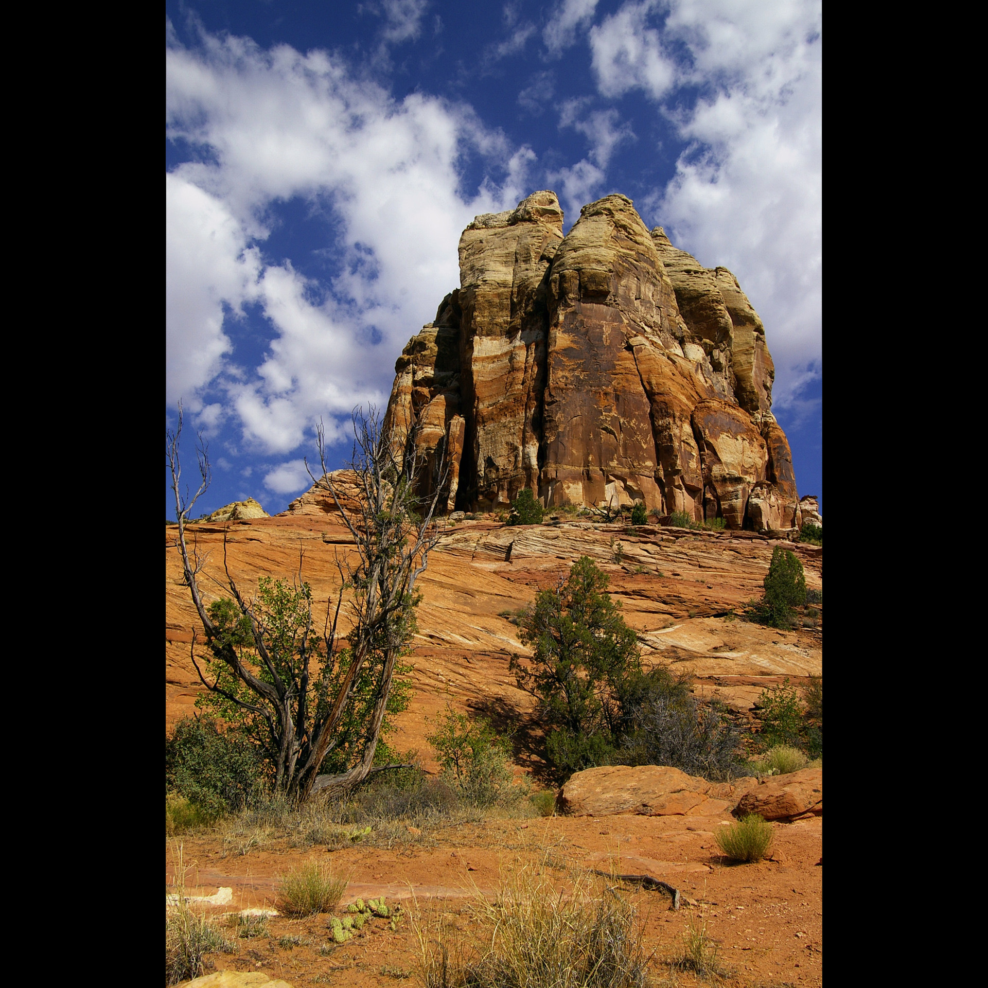 Pentax *ist DL sample photo. Capitol reef monolith photography