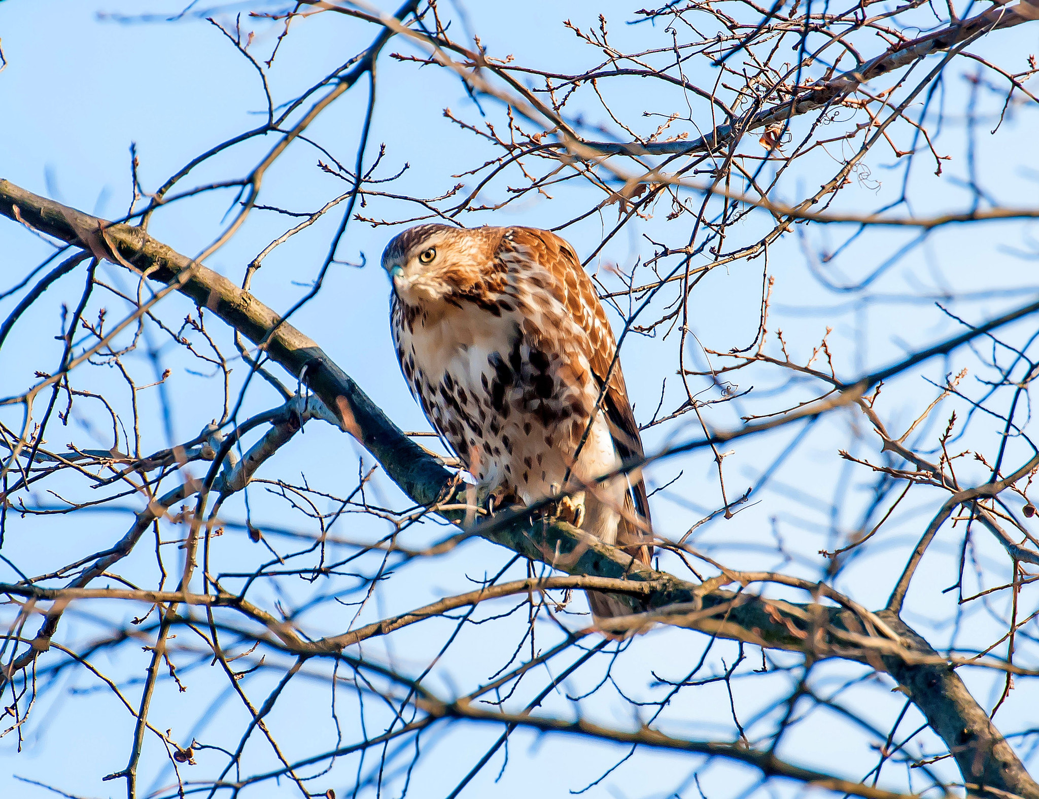 Nikon D200 sample photo. Hawk clove lake photography