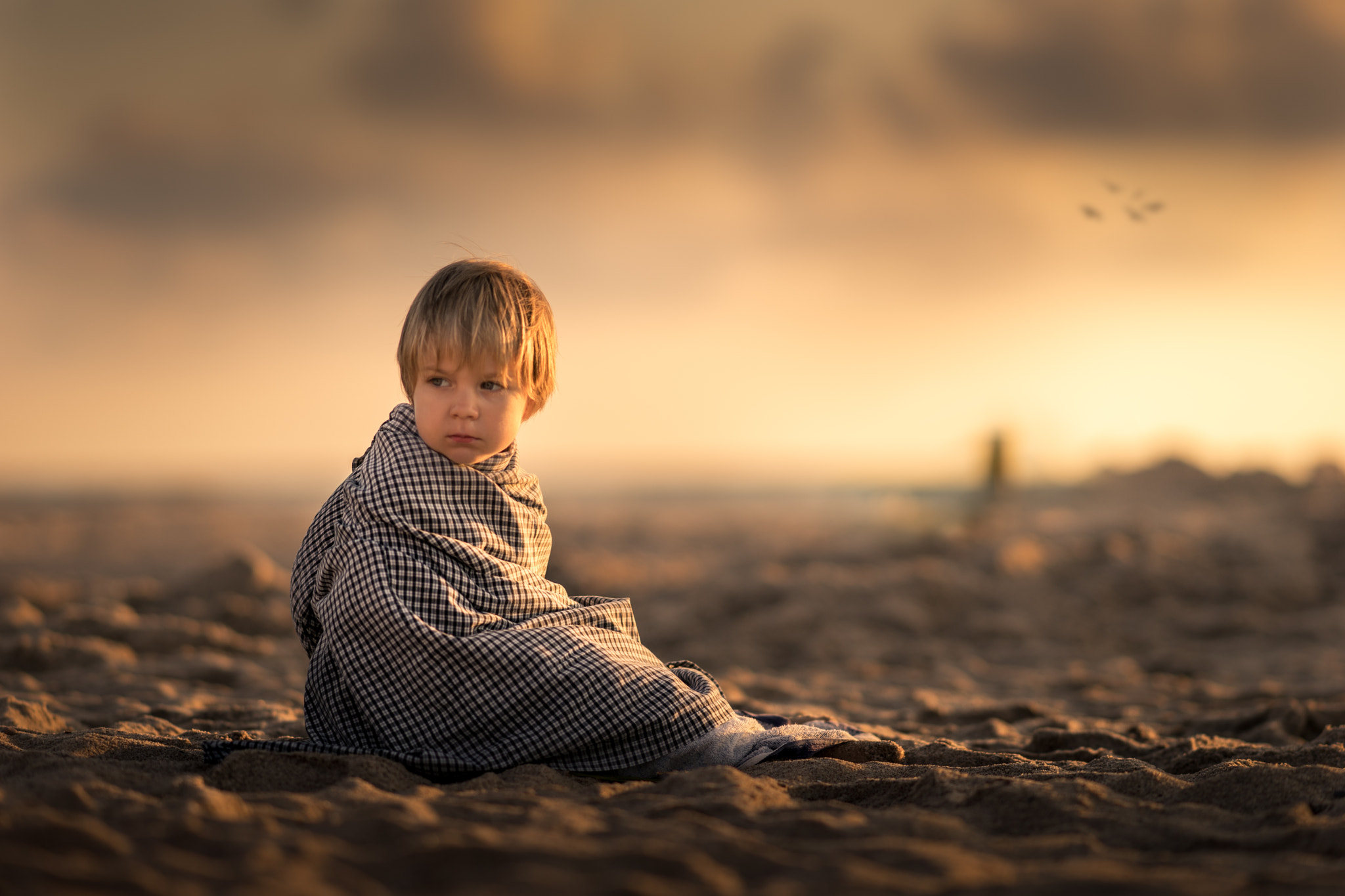 Sony a7 + Sony Sonnar T* 135mm F1.8 ZA sample photo. Sand, birds, lighthouse photography