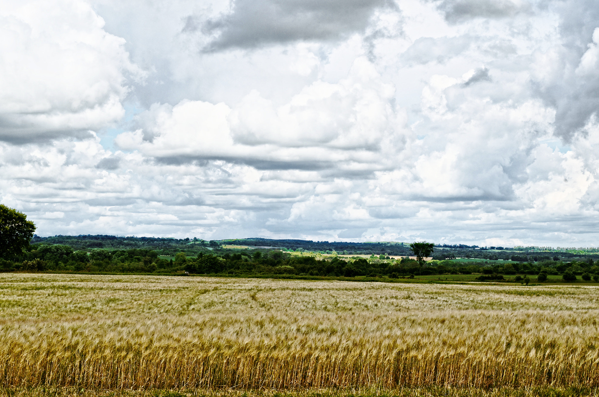 Pentax smc DA 18-55mm F3.5-5.6 AL WR sample photo. Wheat harvest photography