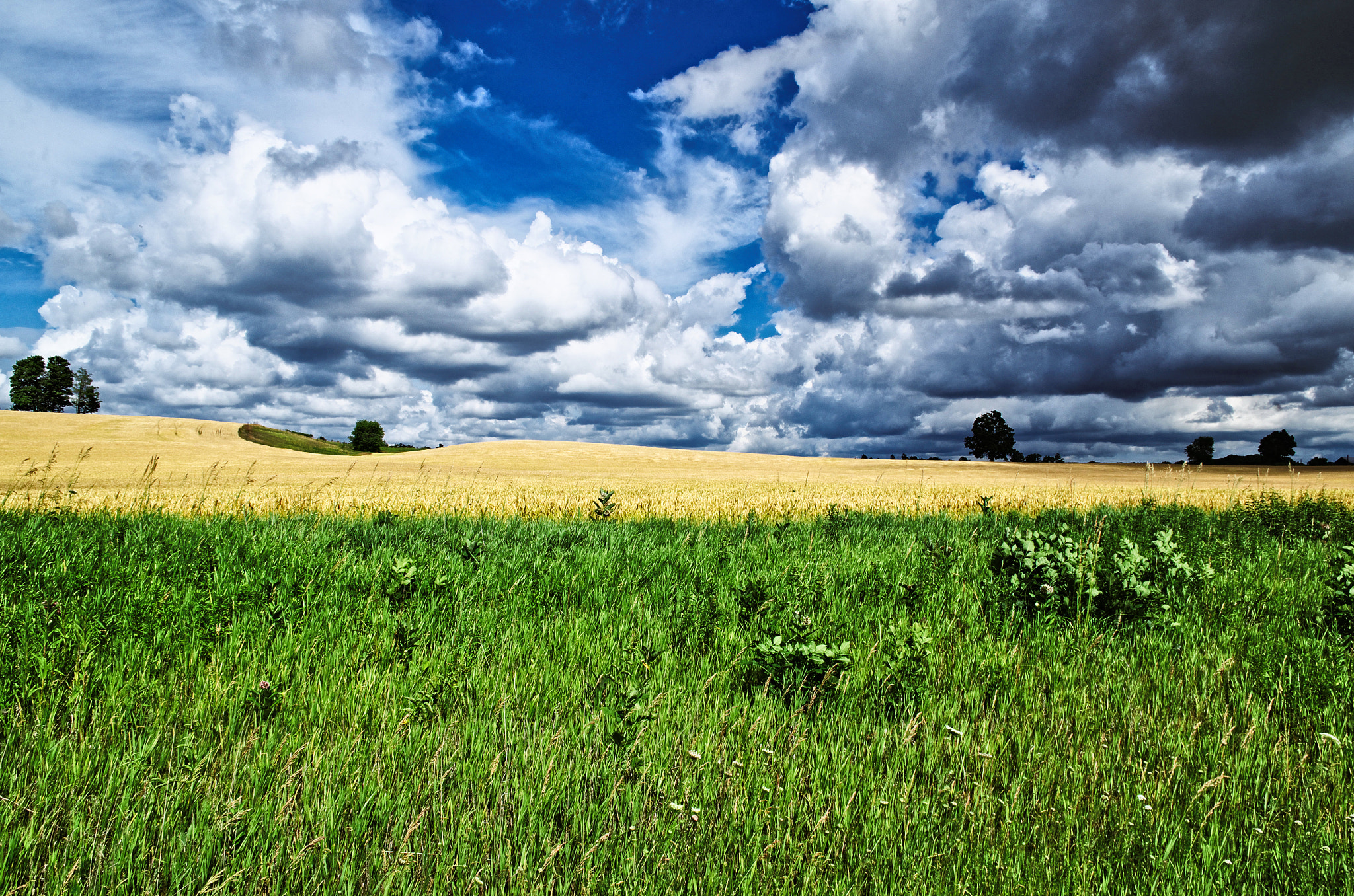 Pentax K-30 sample photo. Meadow in brilliance photography