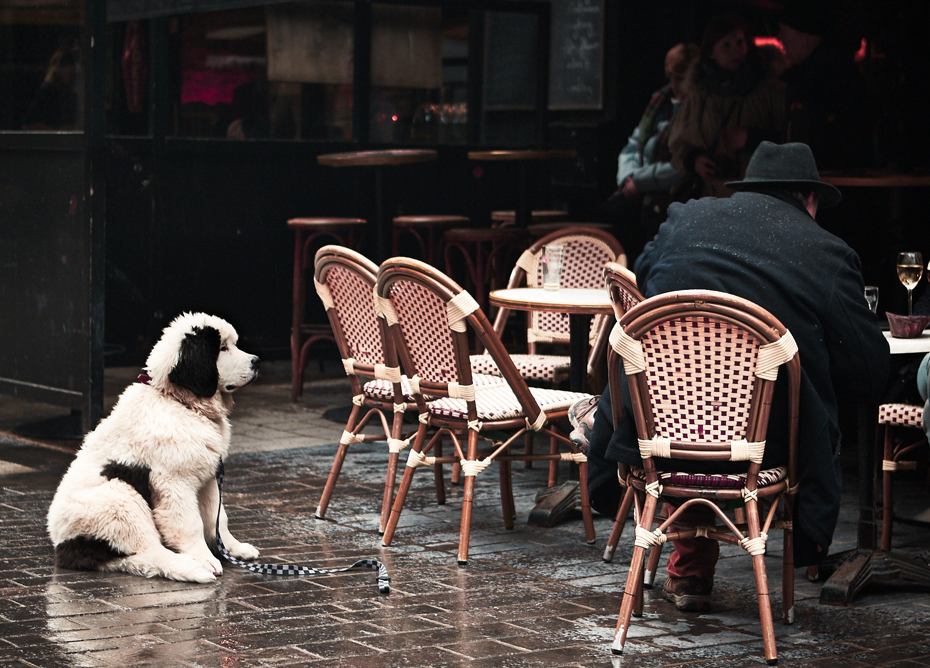 Canon EOS-1D Mark IV sample photo. 2016 | 02 | kusttram | dog and master photography