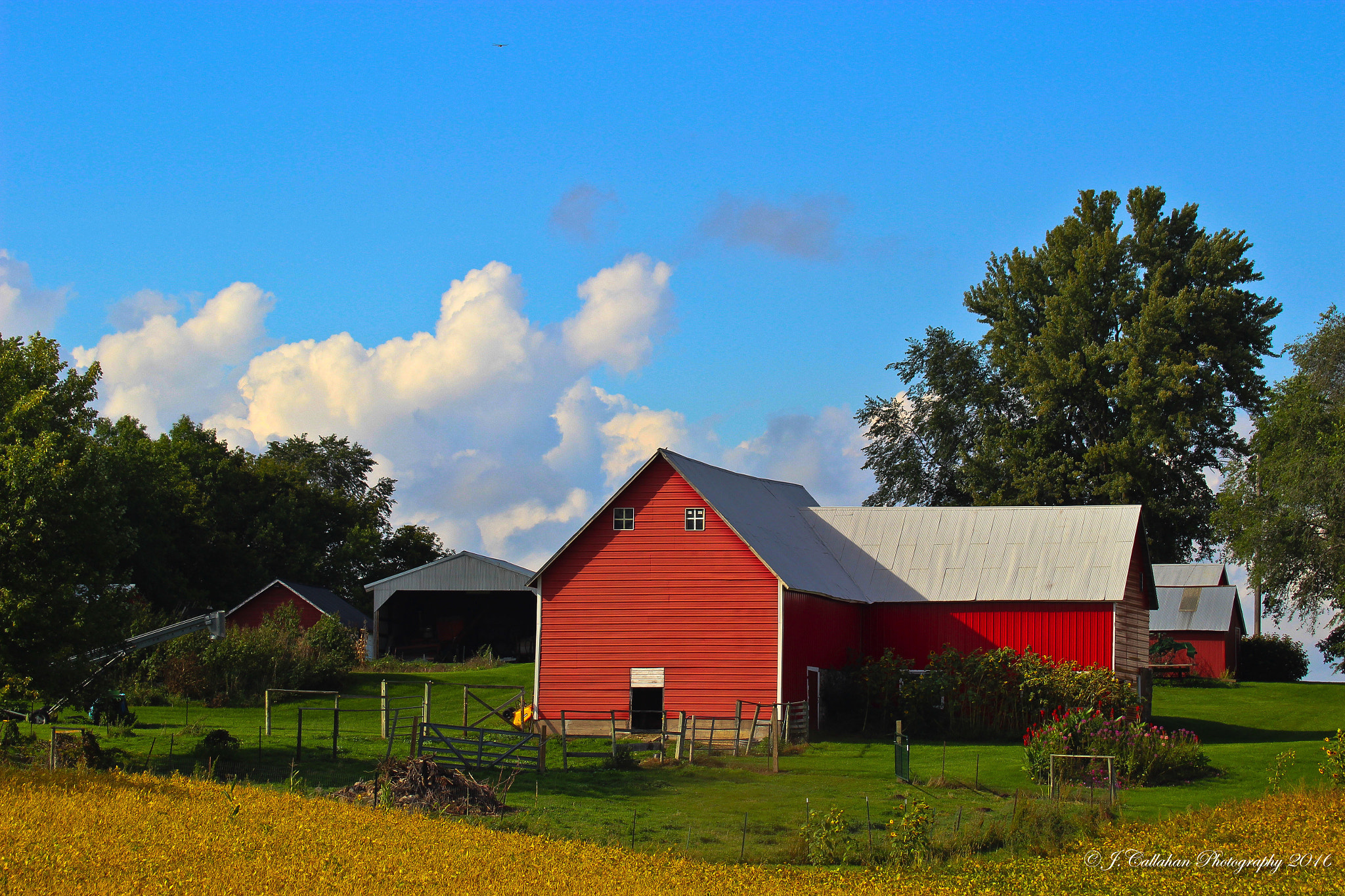 Canon EF 80-200mm F4.5-5.6 II sample photo. Summer on the farm photography