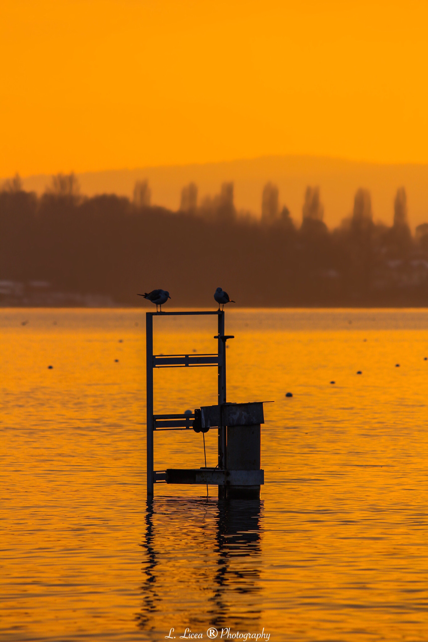 Canon EF 70-300mm F4-5.6 IS USM sample photo