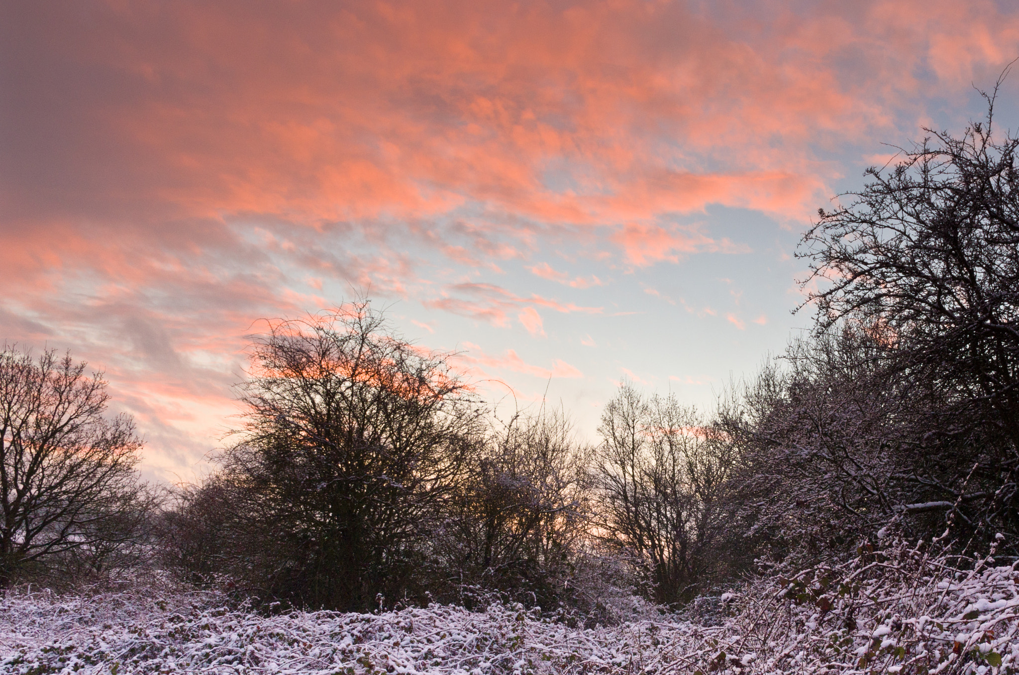 Pentax K-5 II + Pentax smc DA 21mm F3.2 AL Limited sample photo. Hadley wood photography