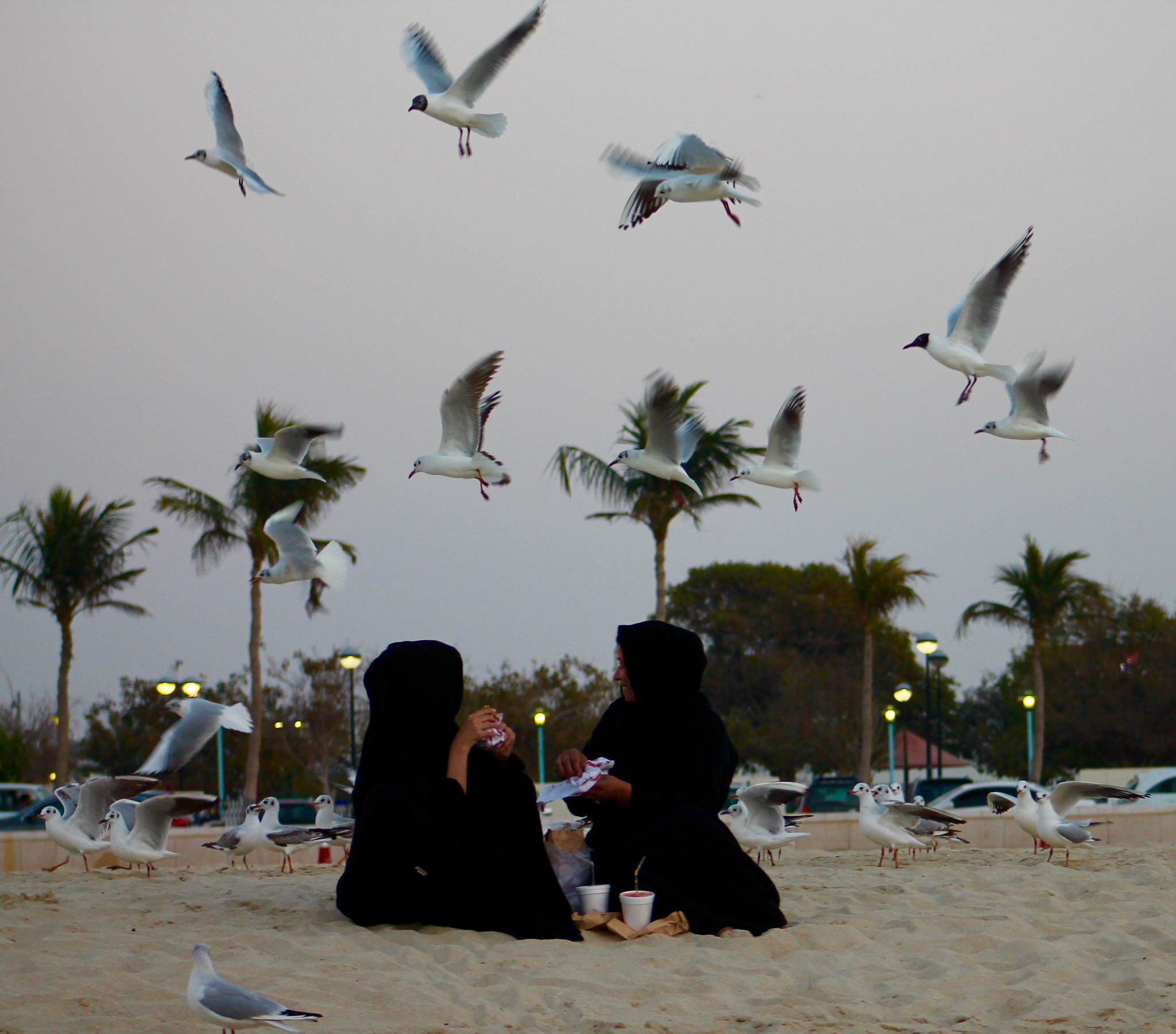 Canon EF75-300mm f/4-5.6 sample photo. Invited for a late supper at sunset photography