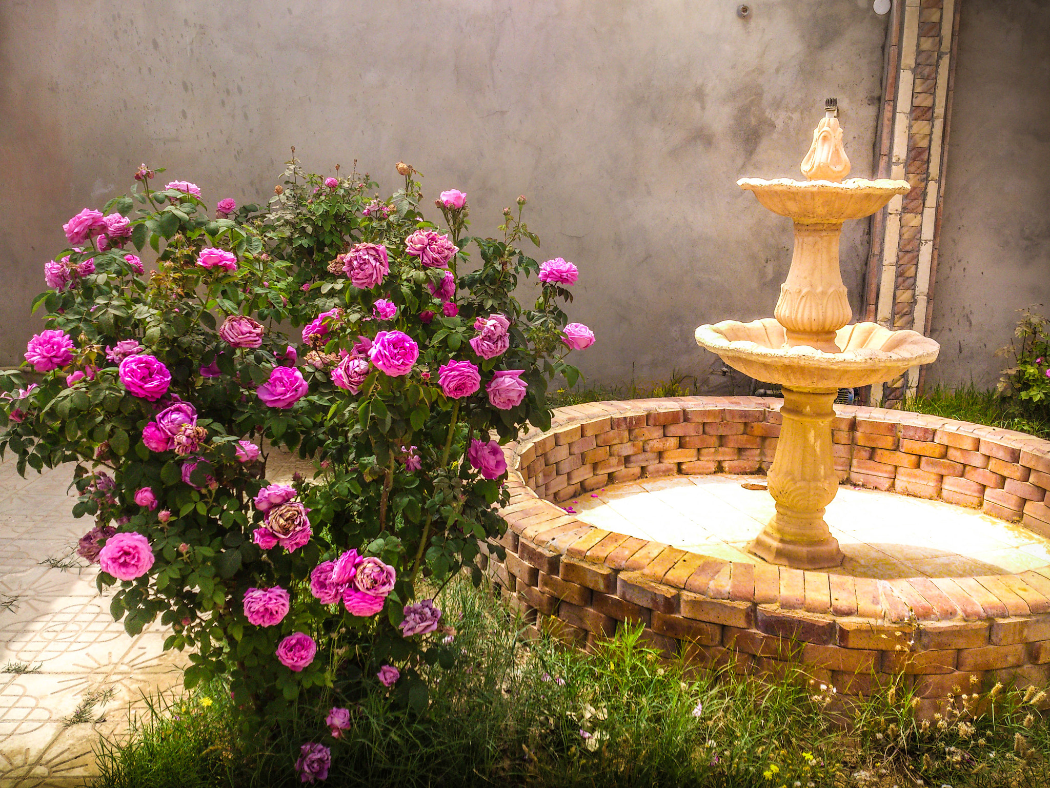 Sony Ericsson Xperia S sample photo. Home sweet home photography