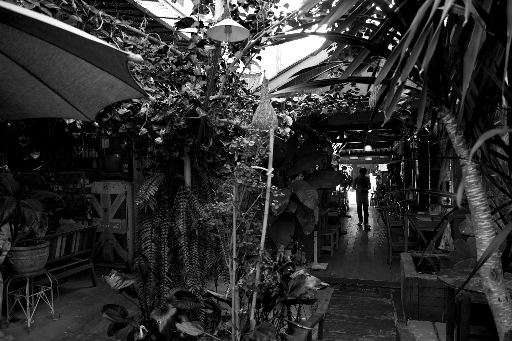 Nikon D800E sample photo. My best coffee shop look like jungle. photography