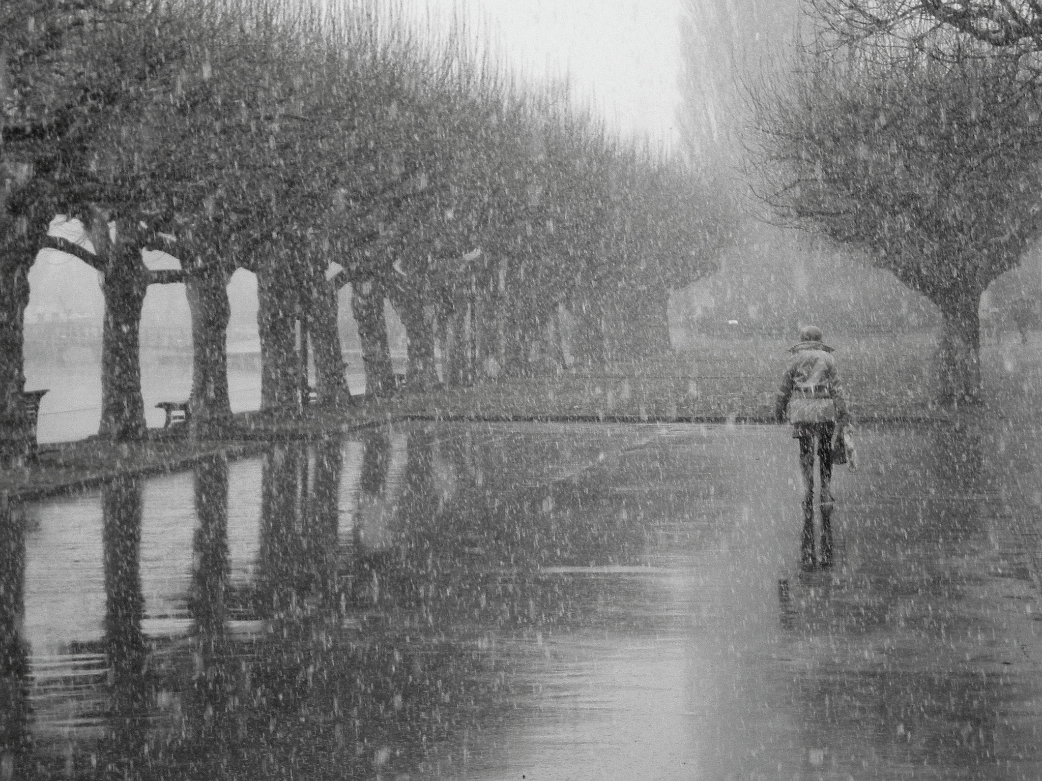 Nikon COOLPIX S202 sample photo. Snowing day photography