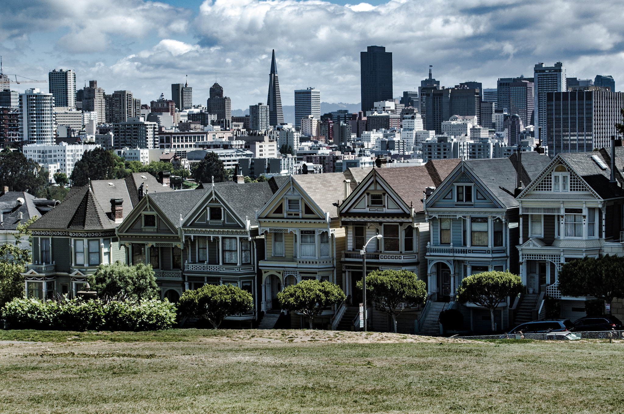 Olympus M.Zuiko Digital 14-42mm F3.5-5.6 II R sample photo. Painted ladies photography