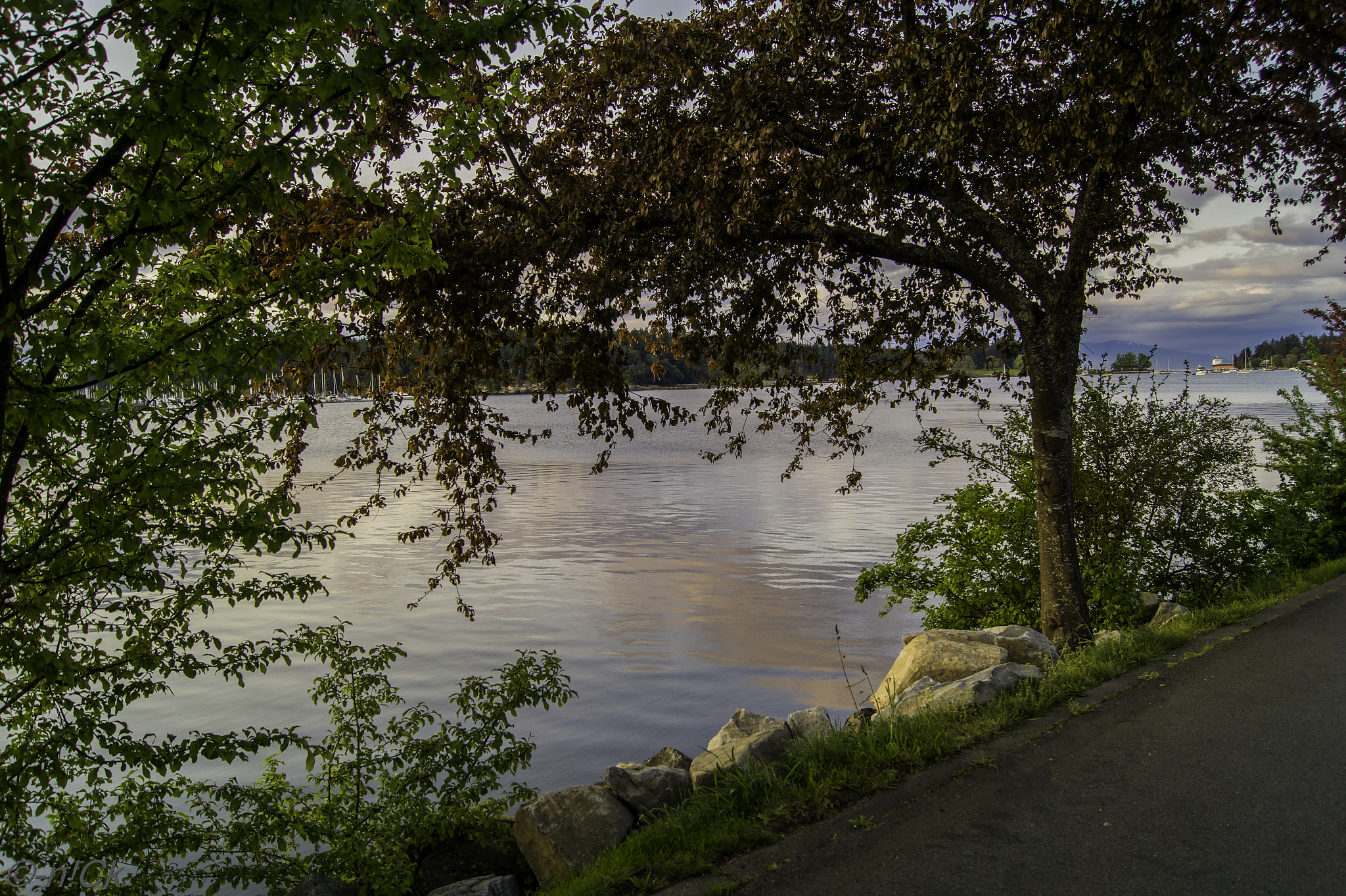 Sony DT 18-55mm F3.5-5.6 SAM II sample photo. Unreal evening photography