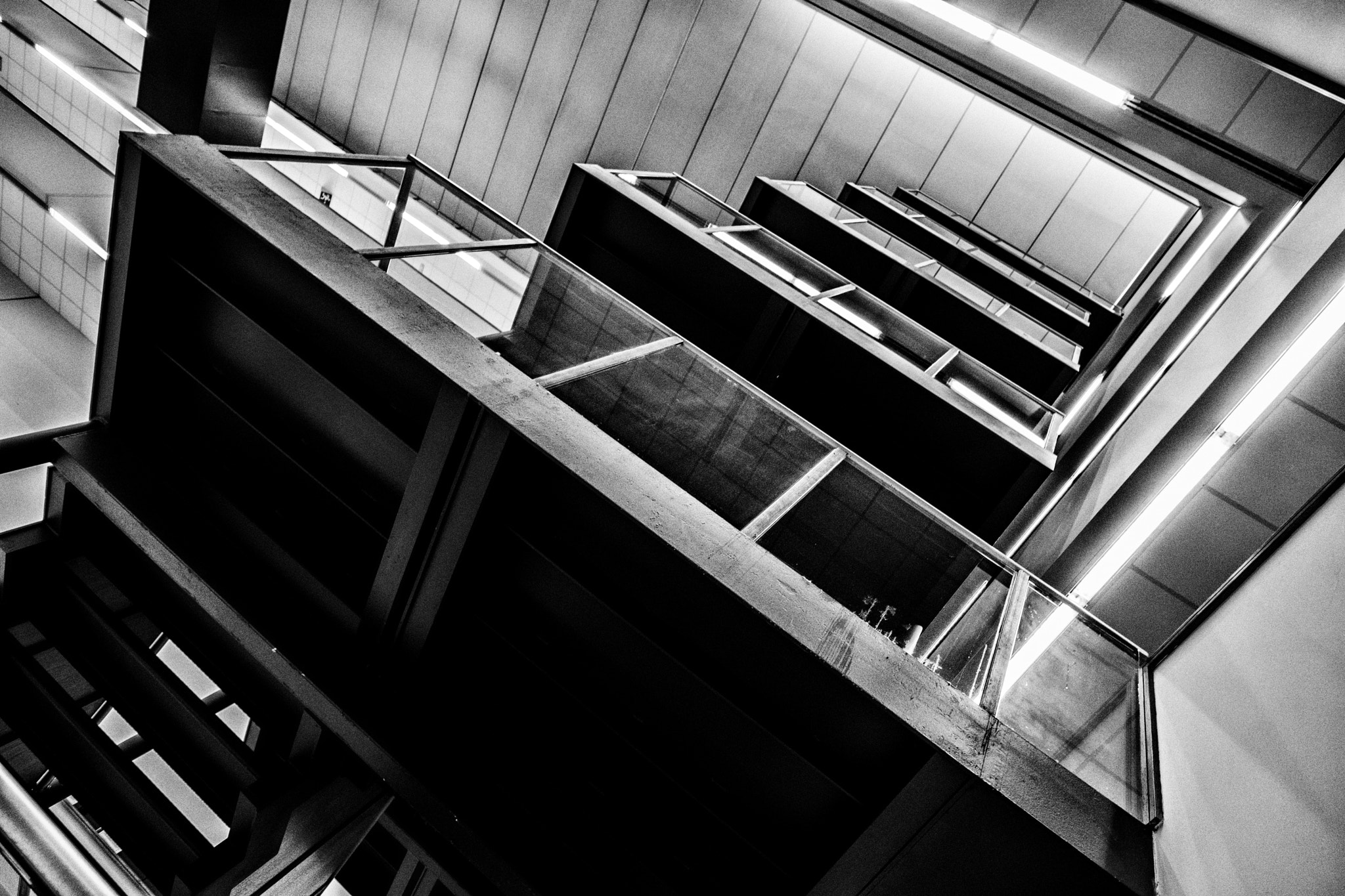 Fujifilm X-T2 + Fujifilm XF 14mm F2.8 R sample photo. Gazing up... photography