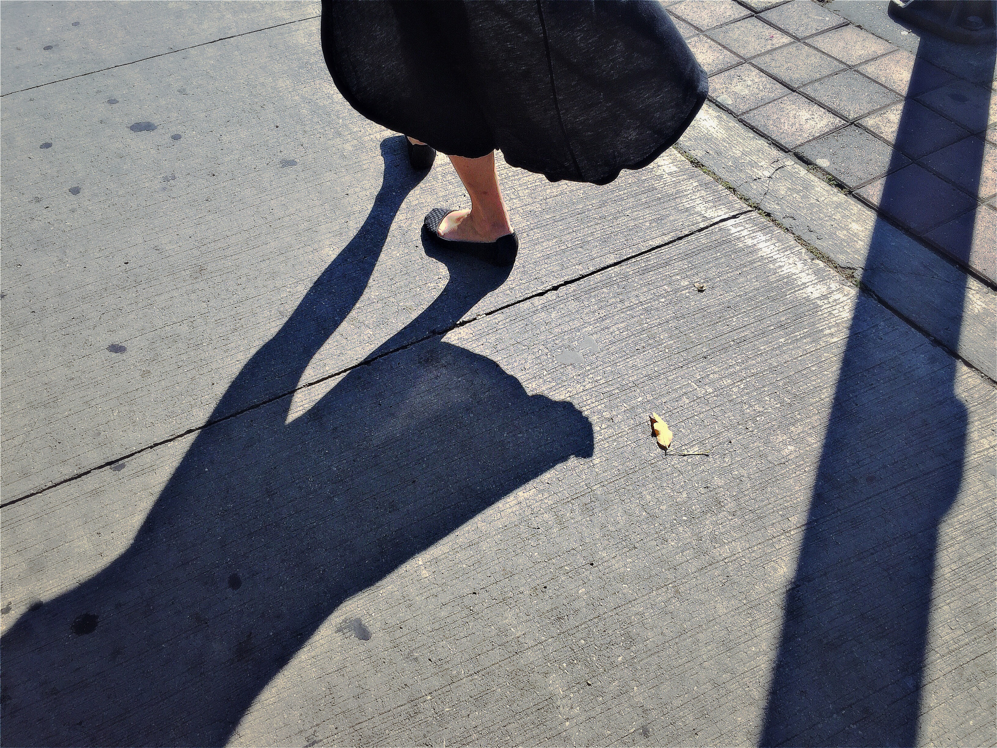 Hipstamatic 321 sample photo. One yellow leaf photography