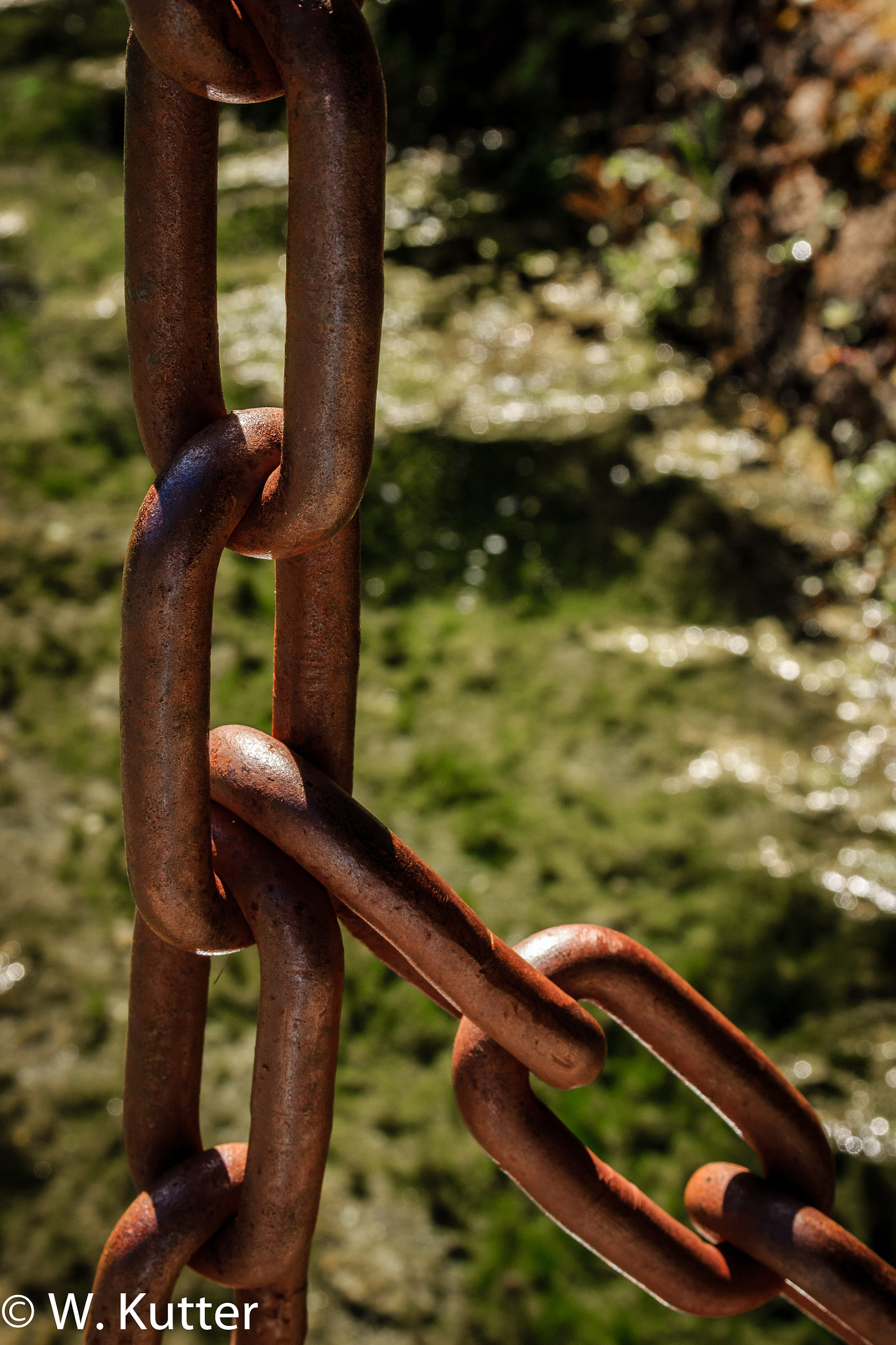 Sigma 17-70mm F2.8-4 DC Macro OS HSM sample photo. Chained photography