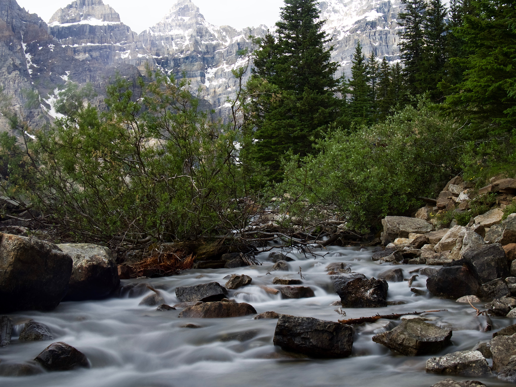 Olympus OM-D E-M5 II sample photo. Olympus digital camera photography