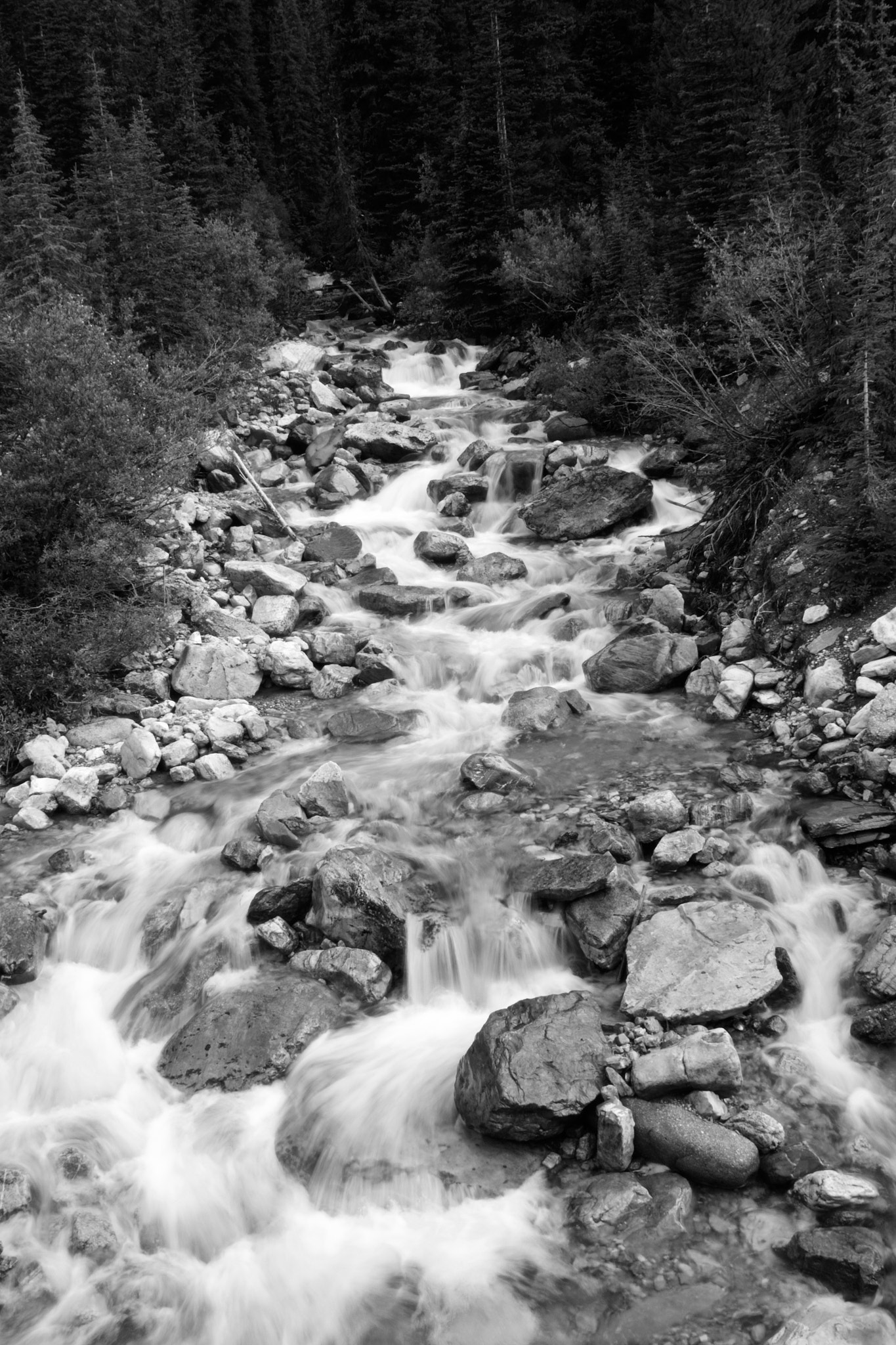 Olympus OM-D E-M5 II sample photo. Running stream photography