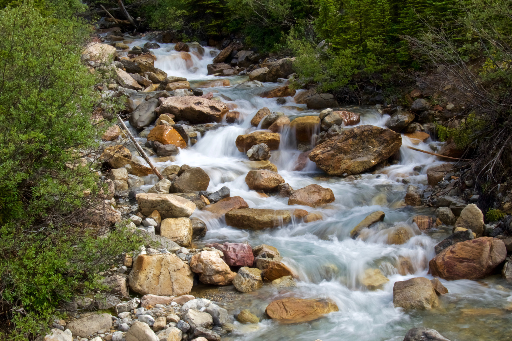Olympus OM-D E-M5 II sample photo. Running stream 3 photography