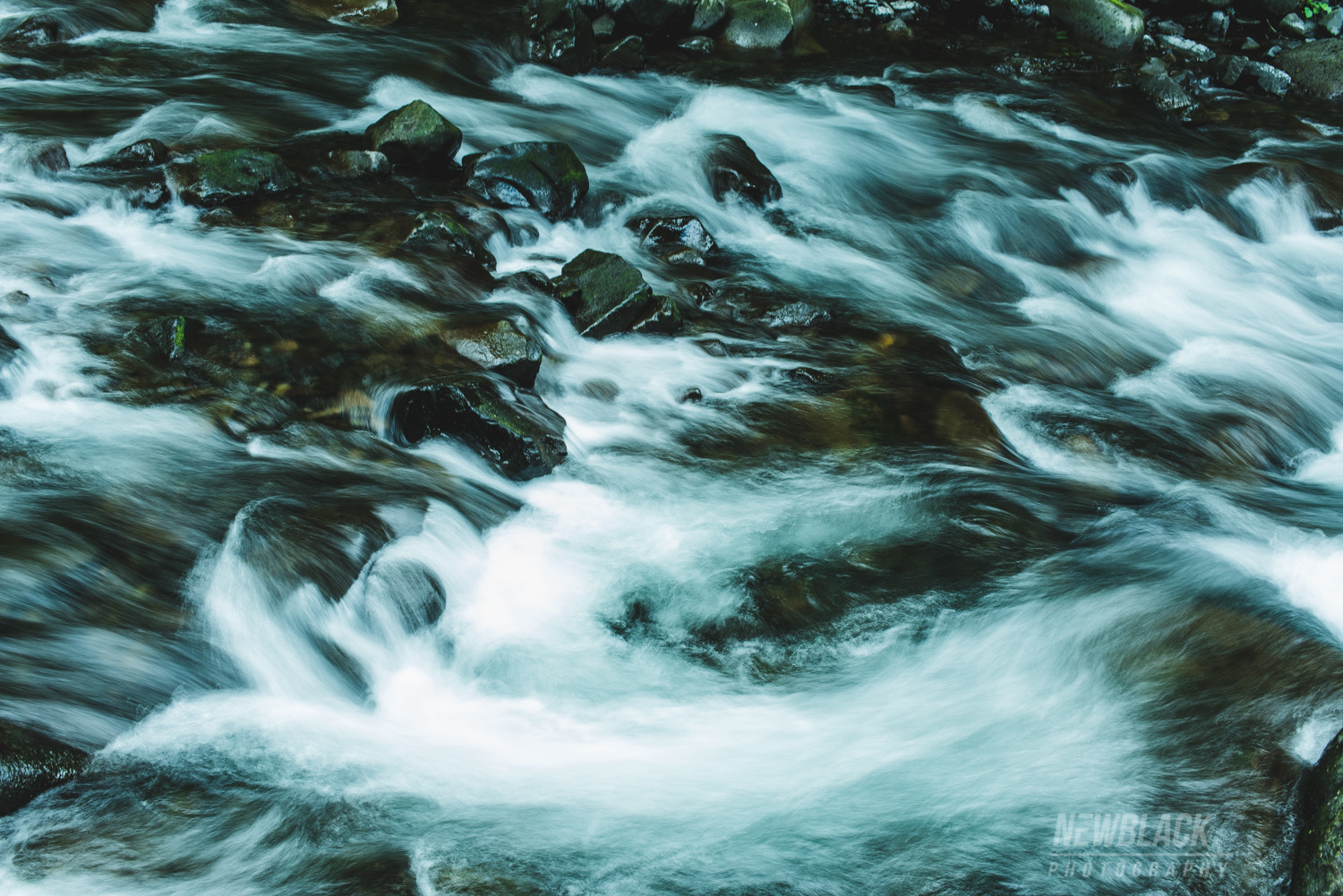 Nikon D750 + Sigma 50mm F1.4 EX DG HSM sample photo. Rapids photography