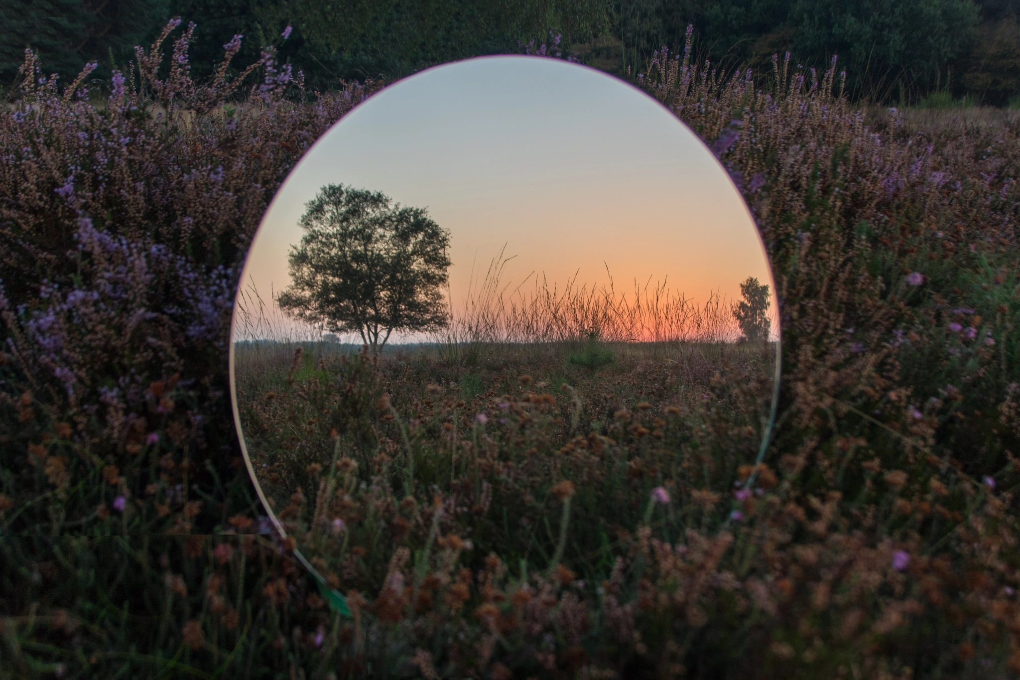 Canon EOS 750D (EOS Rebel T6i / EOS Kiss X8i) sample photo. Early morning reflections photography