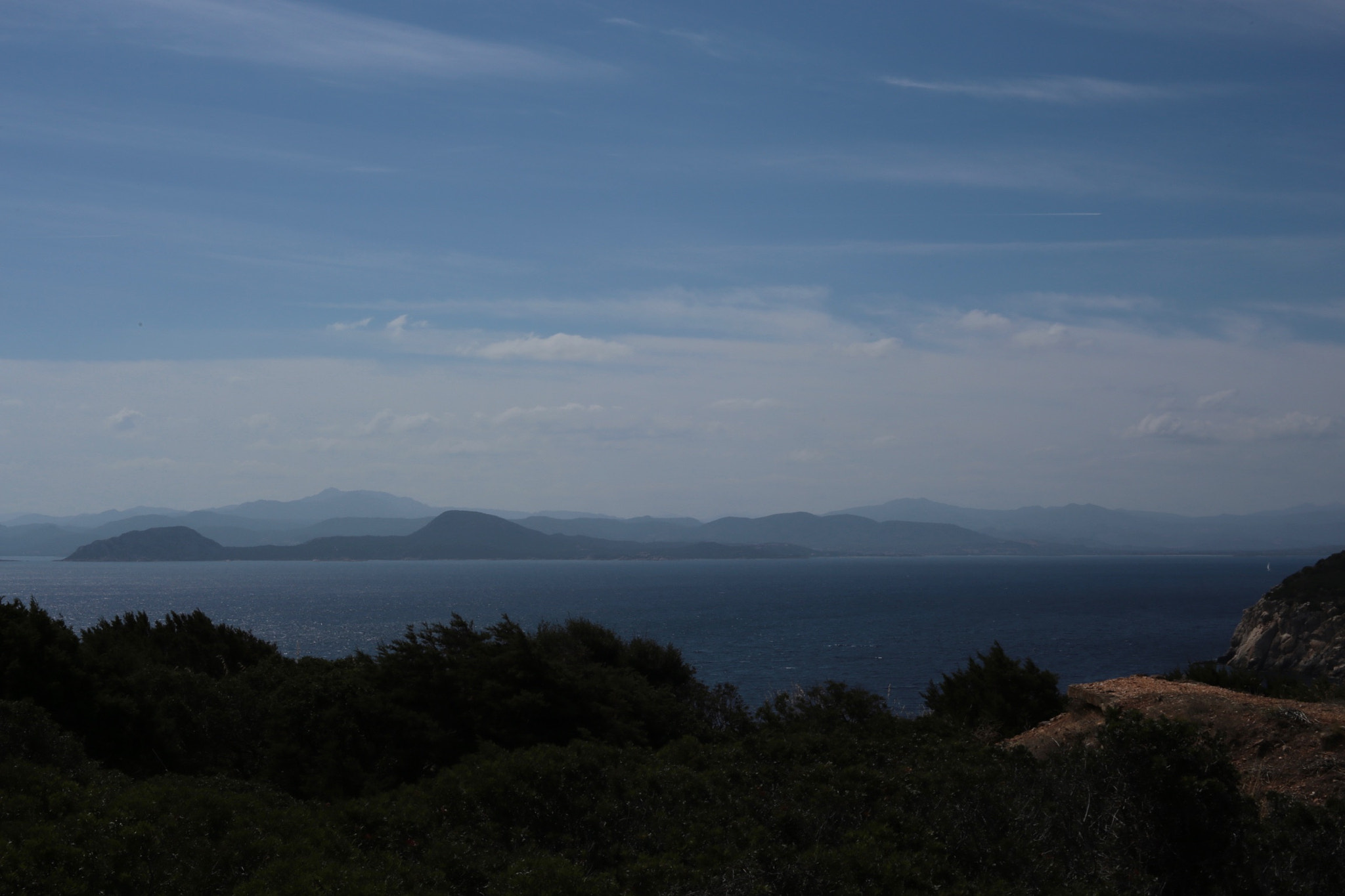 ZEISS Makro-Planar T* 50mm F2 sample photo