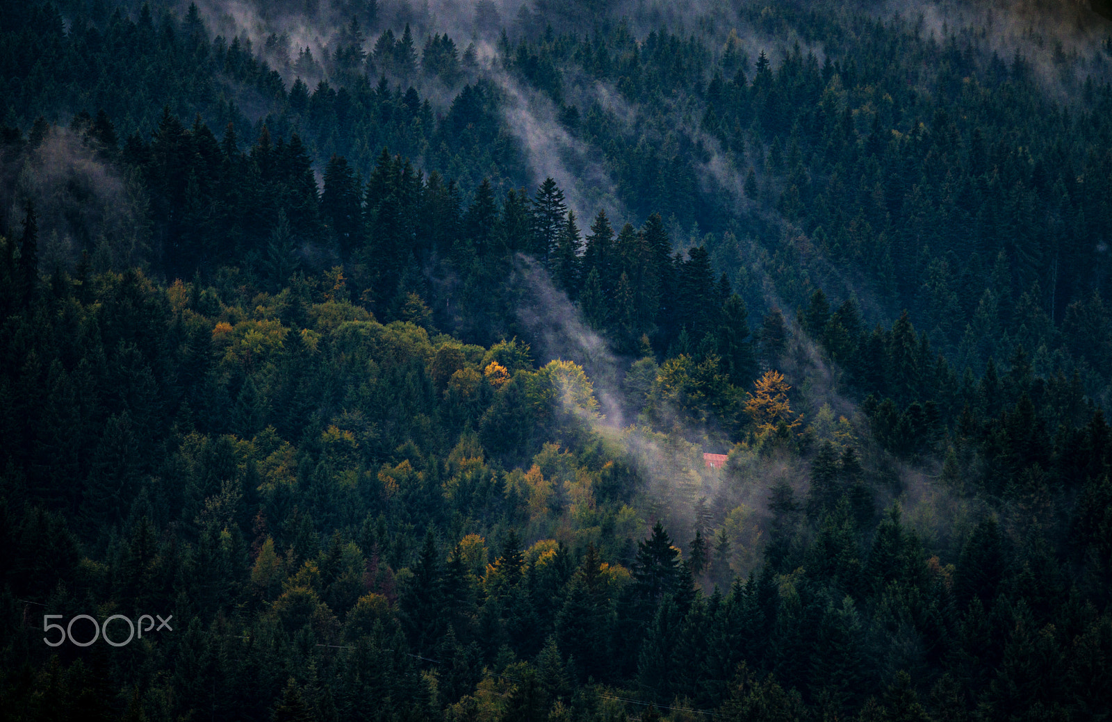 Nikon D800 + Nikon AF-S Nikkor 300mm F4D ED-IF sample photo. Magical transylvania photography