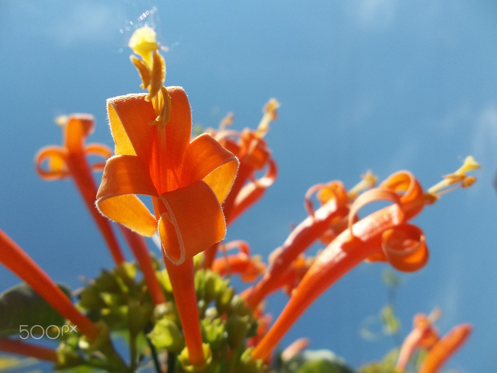 Kodak EASYSHARE CAMERA, M522 sample photo. The earth's laugh photography