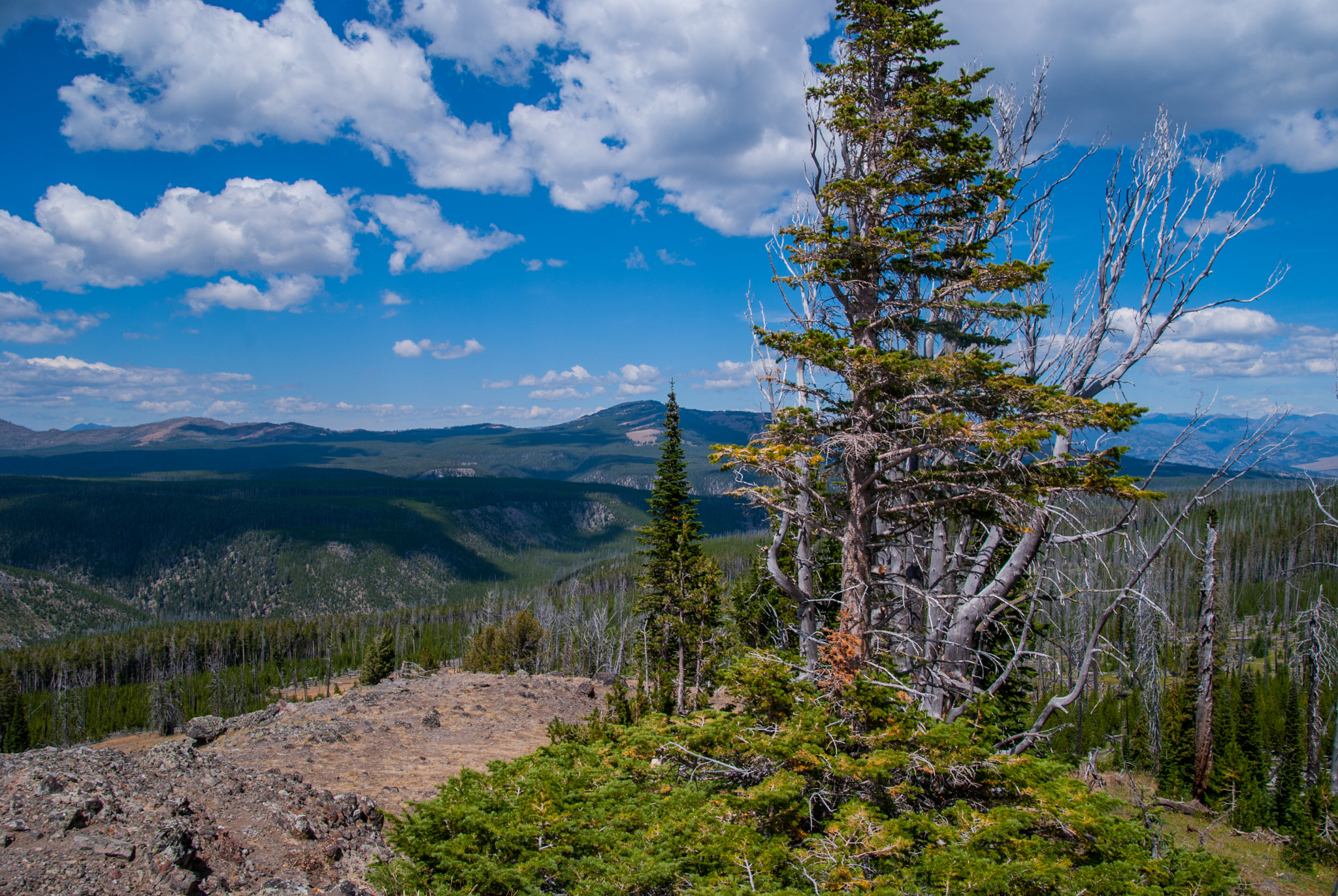 Nikon D60 sample photo. Yellowstone lookout, just a small hike off the main road photography